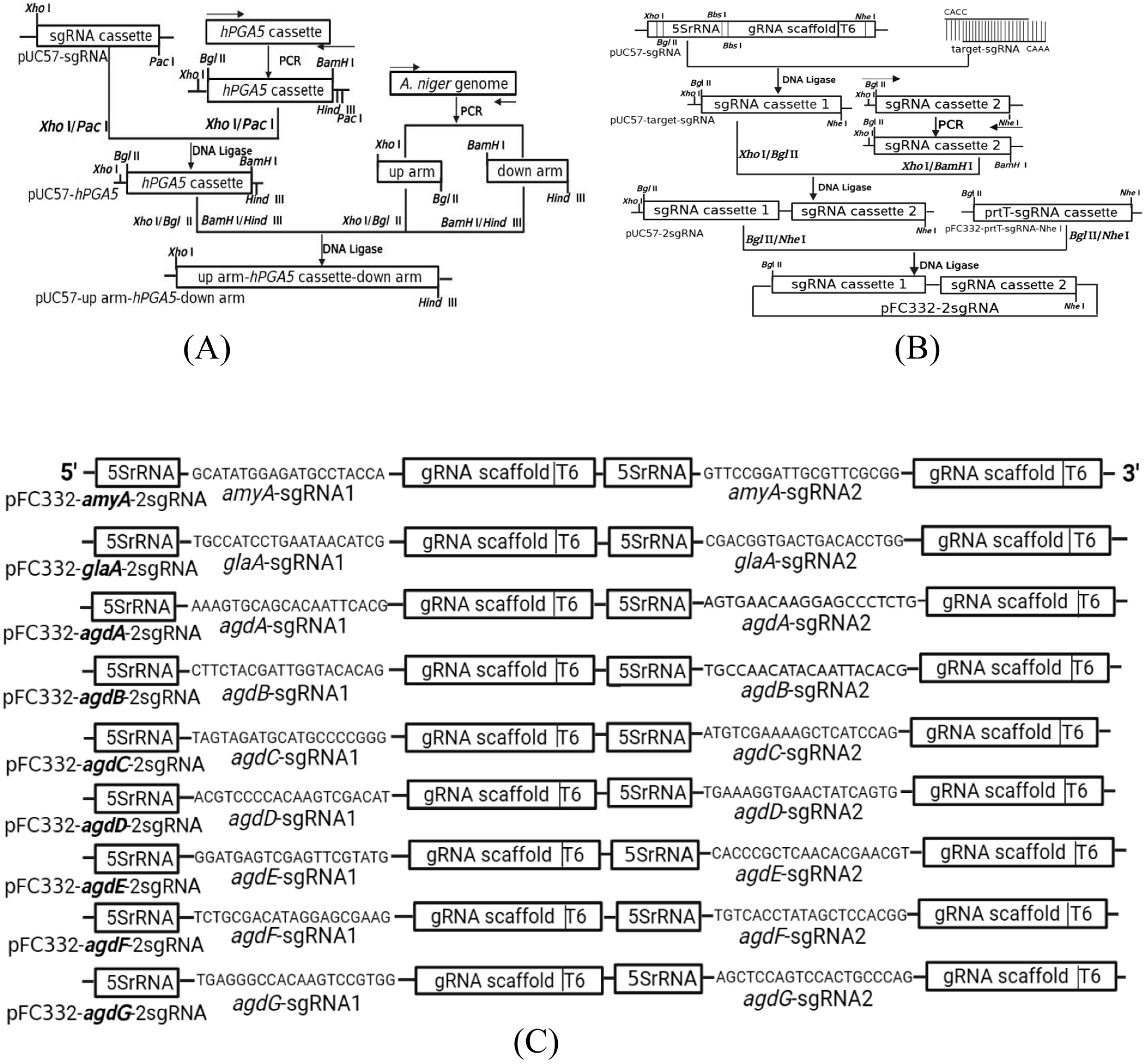 Fermentation 09 00538 g001