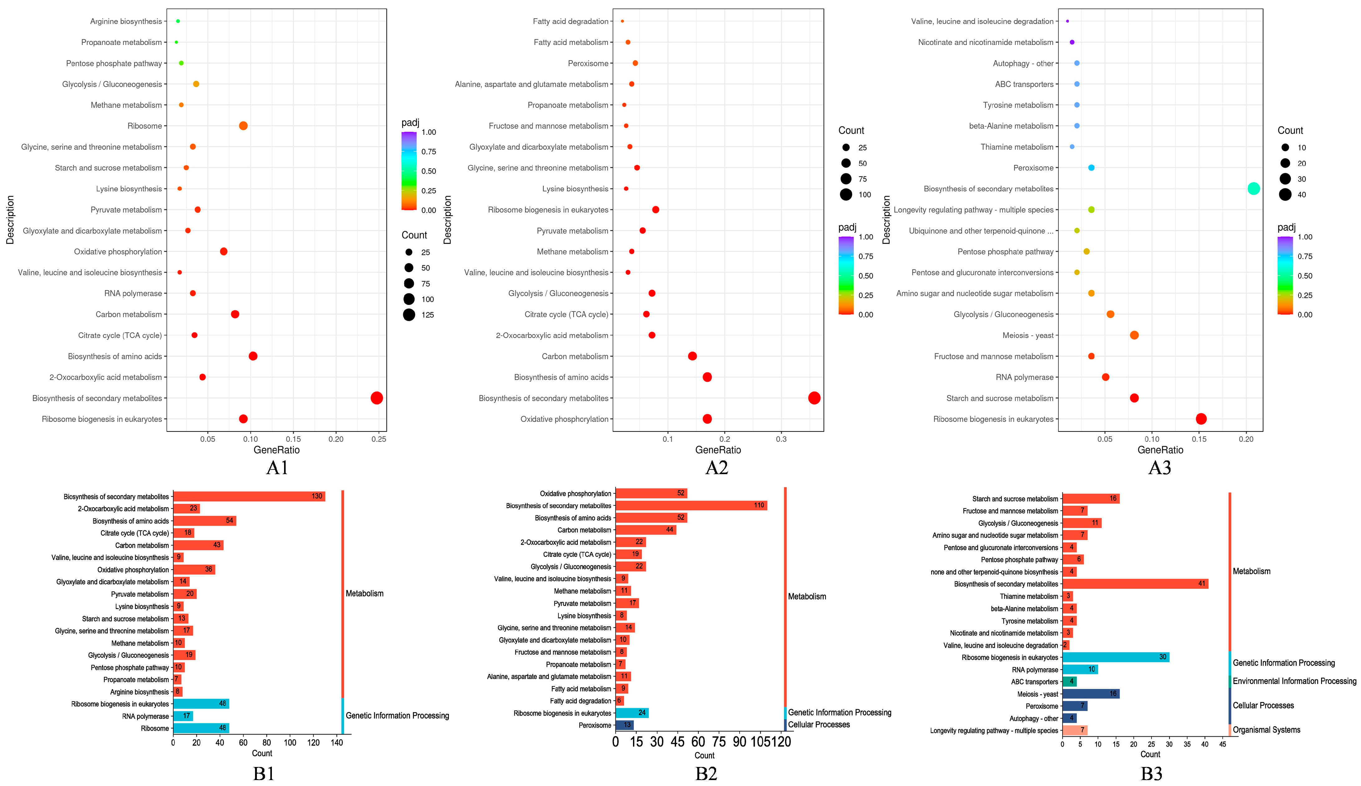 Fermentation 09 00540 g006