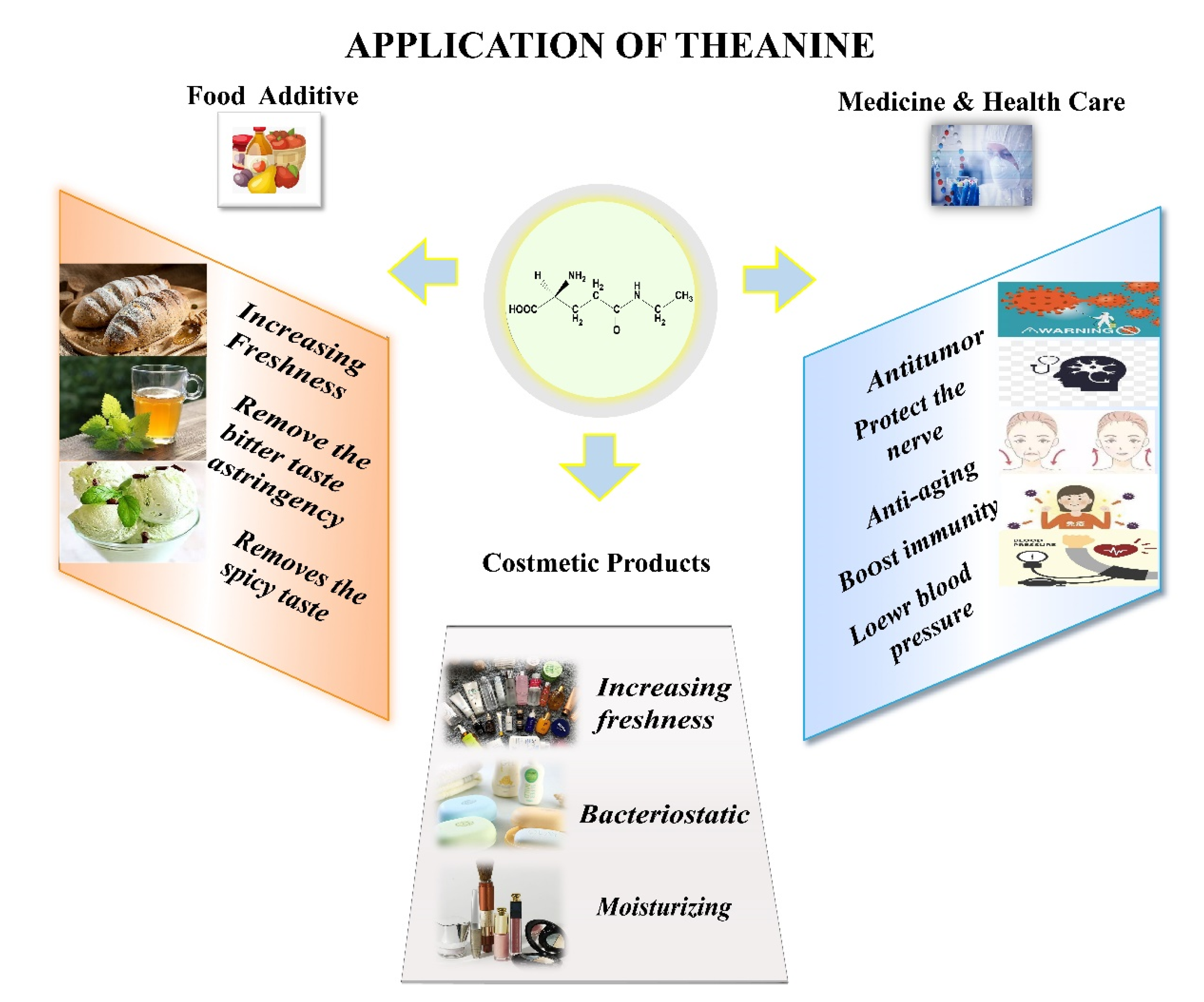 Fermentation 09 00543 g001 Fermentation 09 00543 g001