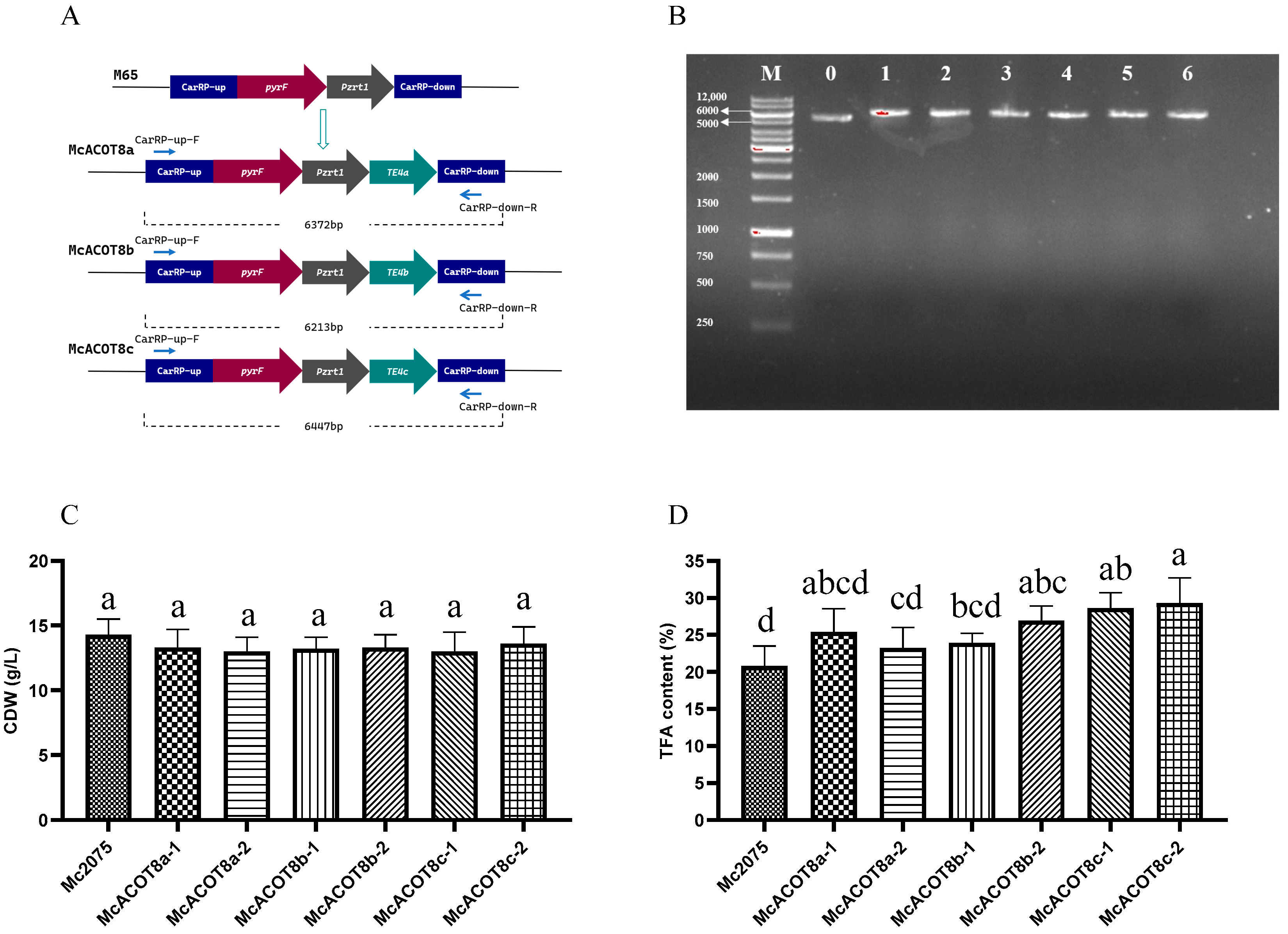 Fermentation 09 00545 g002