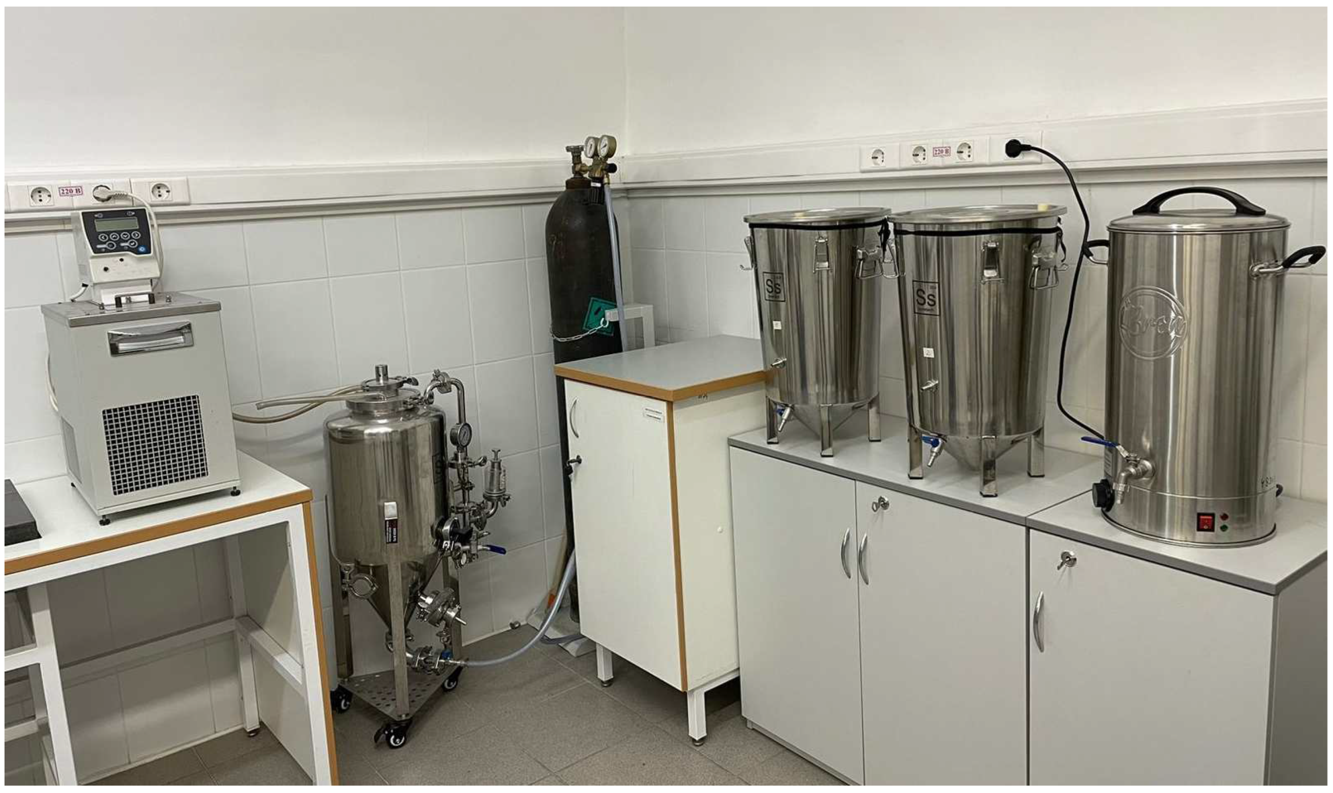 Development of Fermented Kombucha Tea Beverage Enriched with 