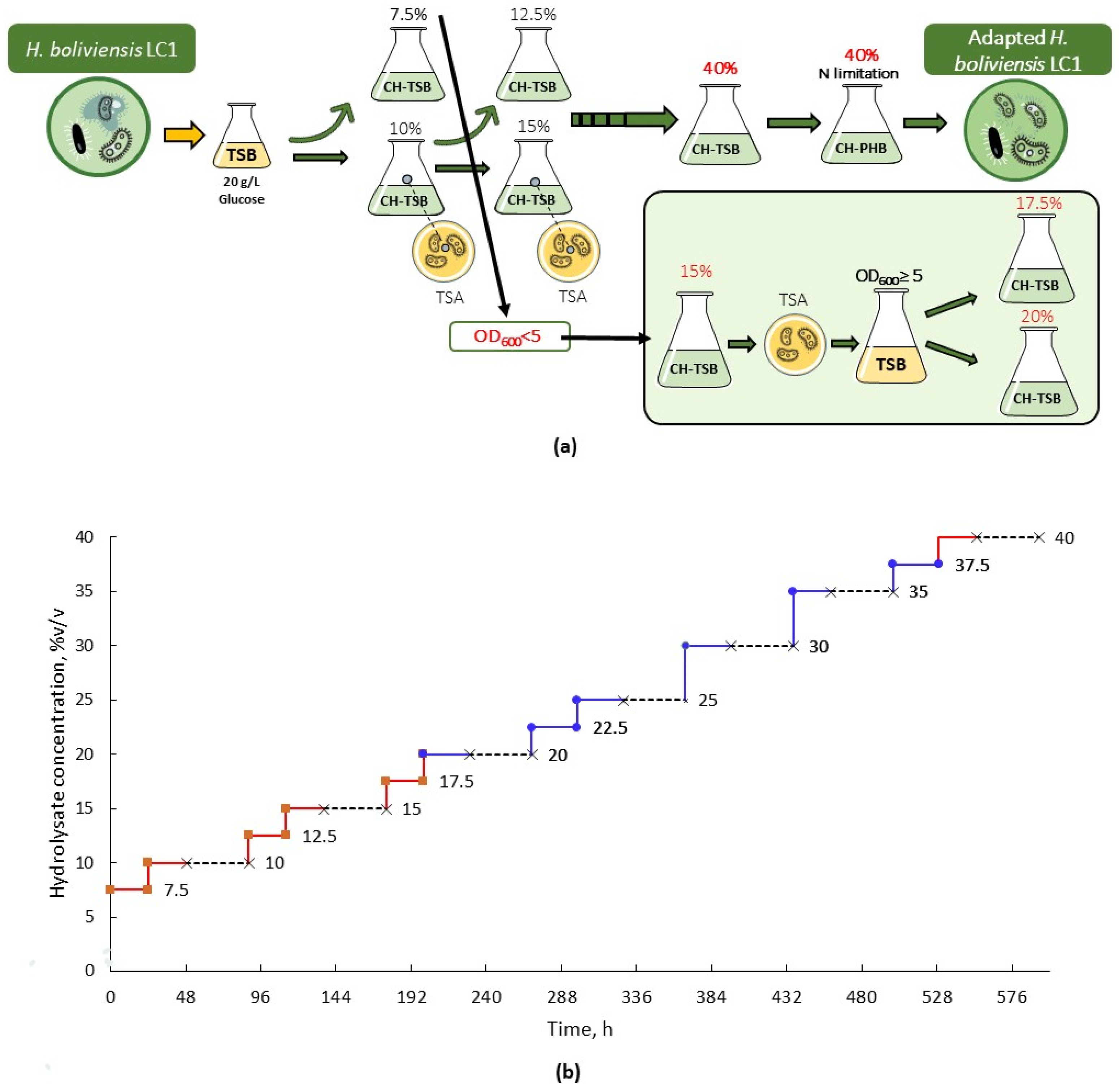 Fermentation 09 00556 g001 Fermentation 09 00556 g001