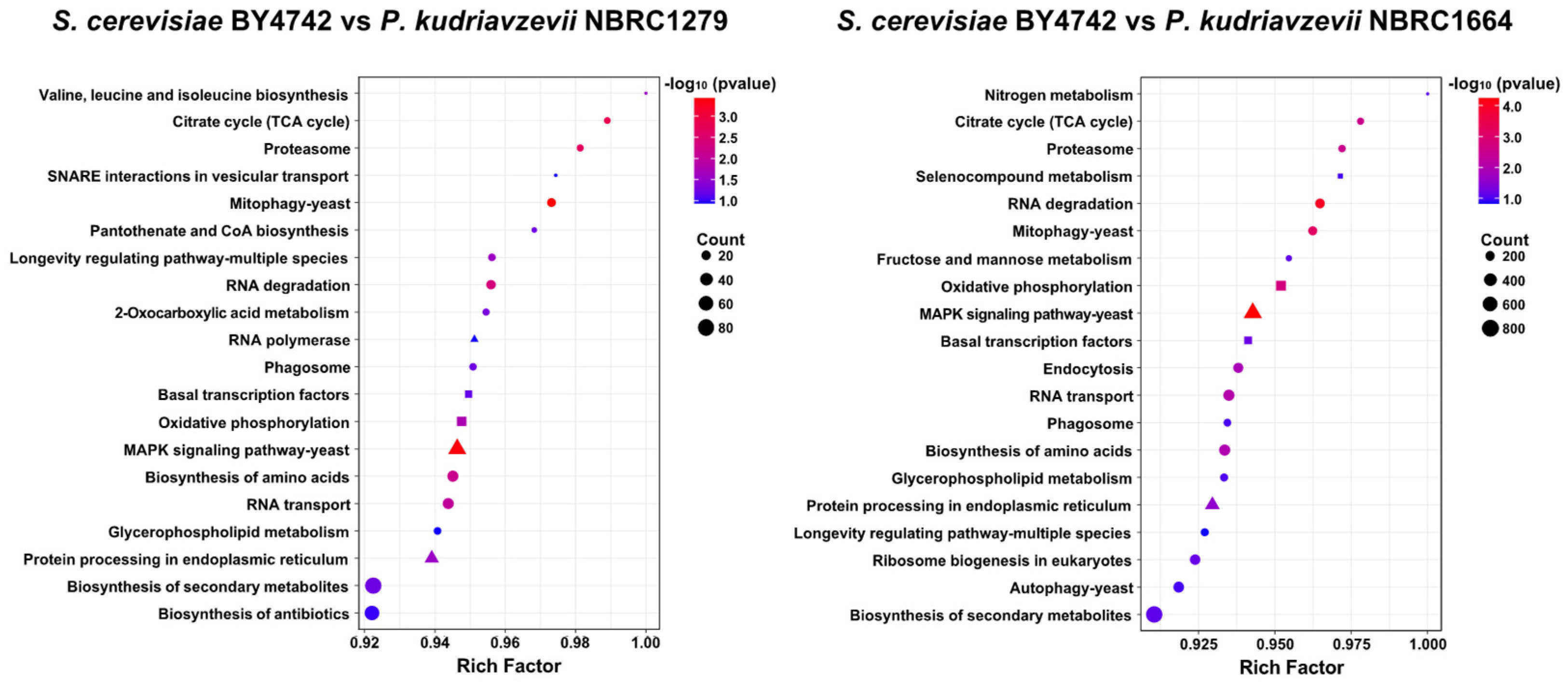 Fermentation 09 00559 g004