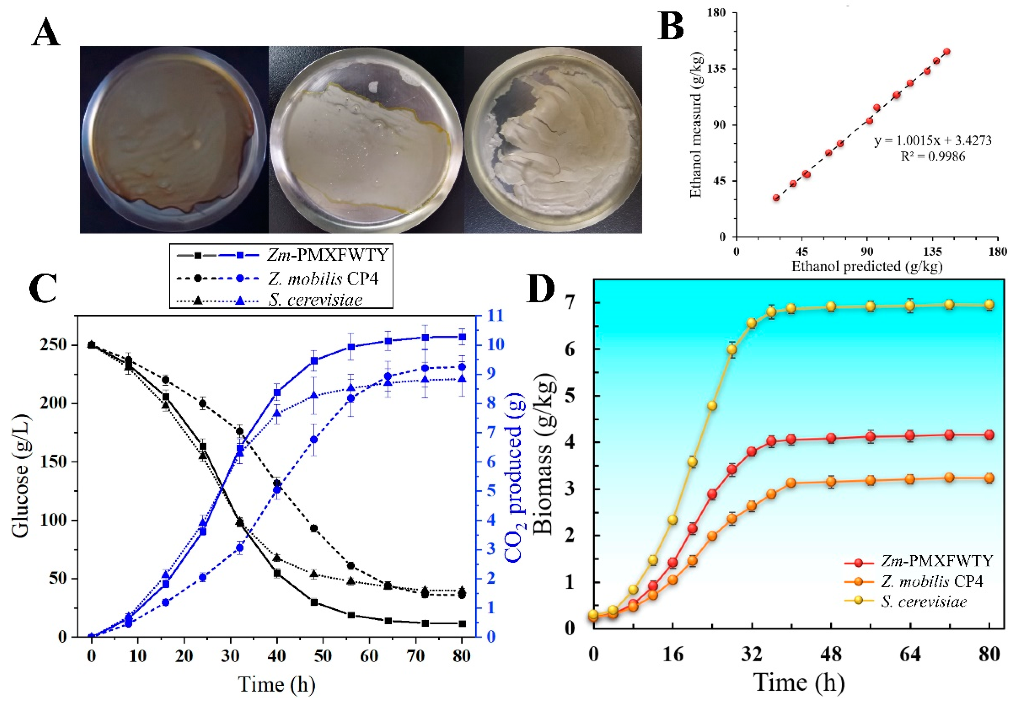 Fermentation 09 00569 g002