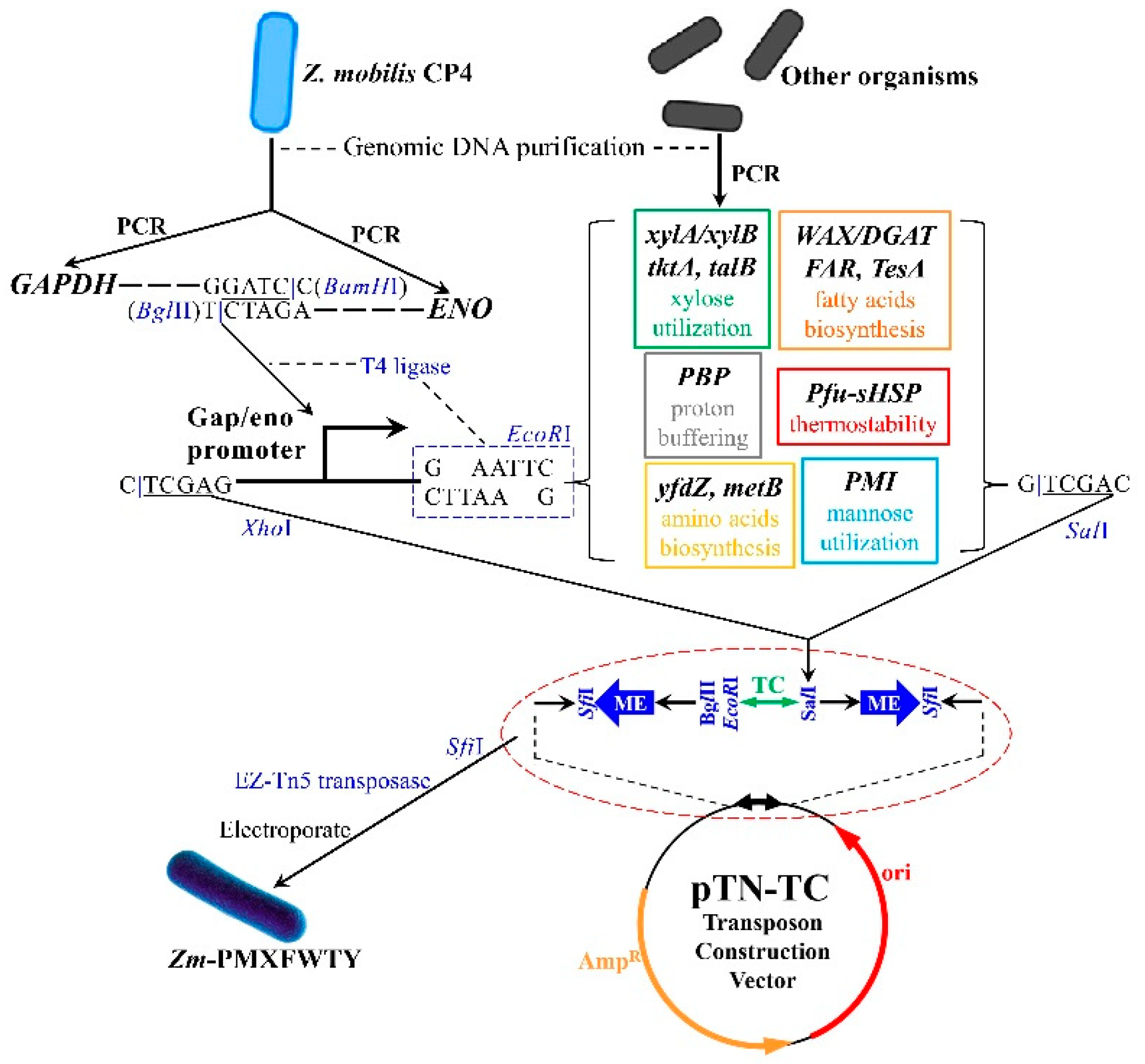 Fermentation 09 00569 sch001