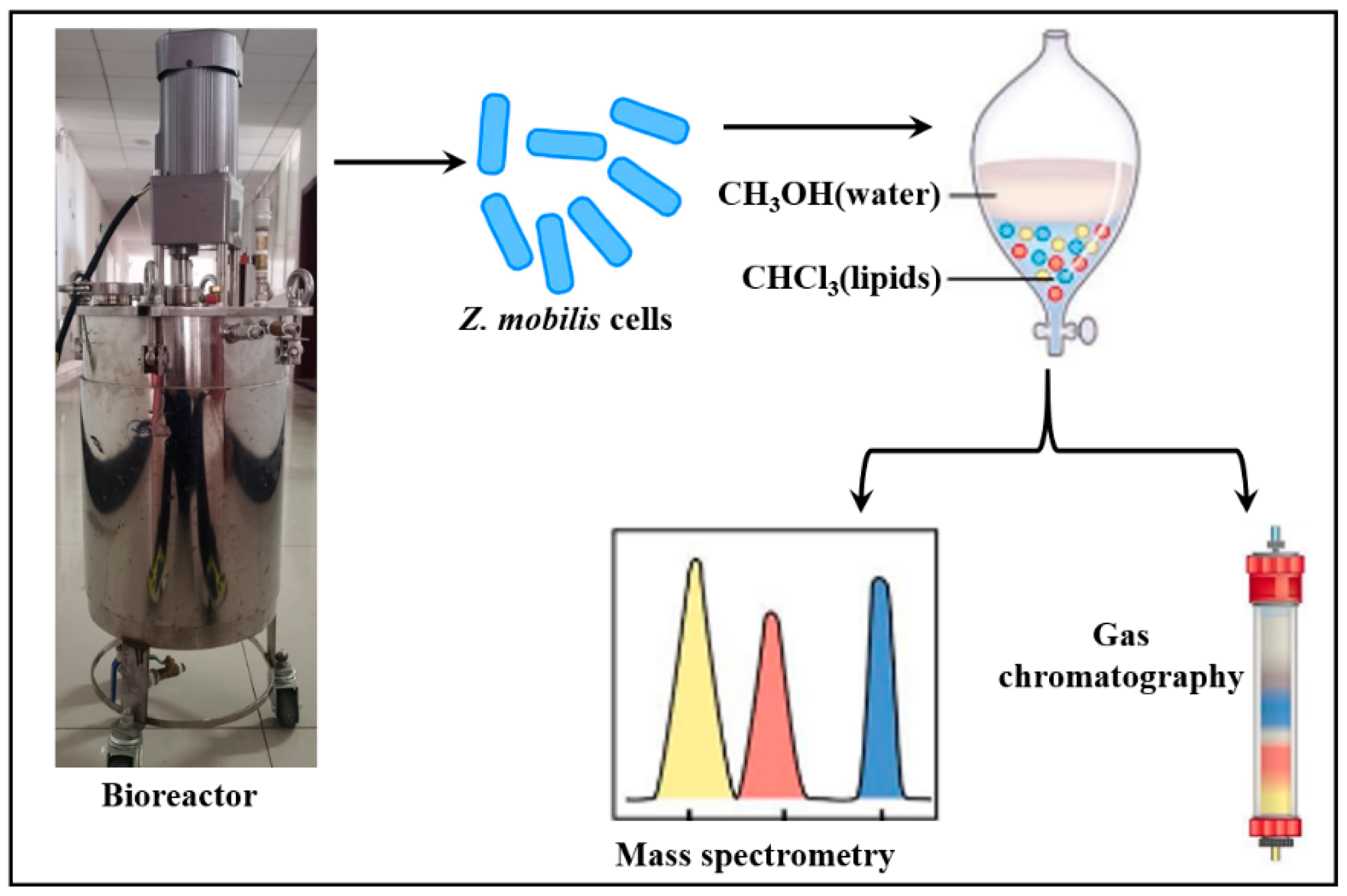Fermentation 09 00569 sch002