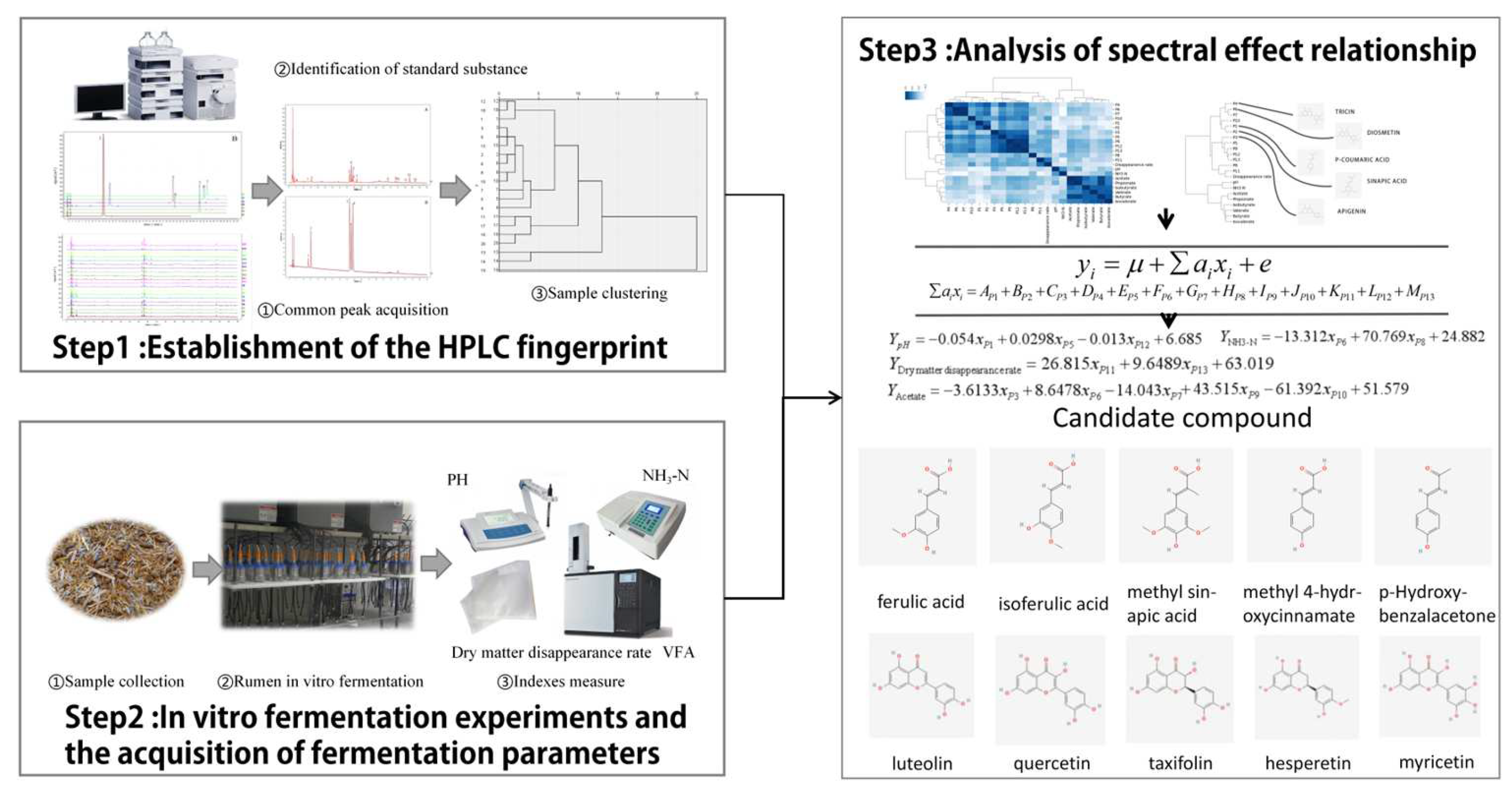 Fermentation 09 00571 g010 Fermentation 09 00571 g010