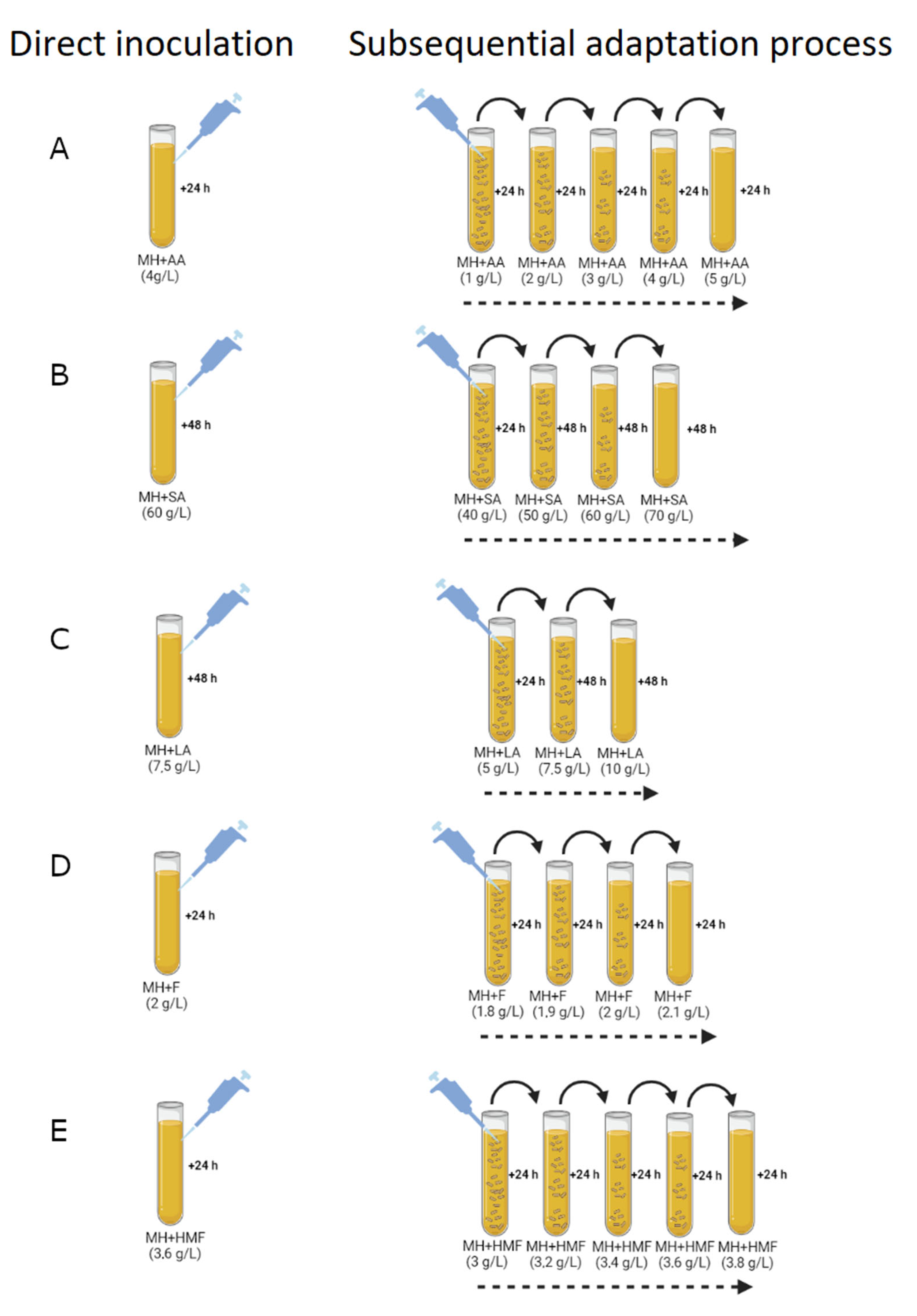 Fermentation 09 00573 g001