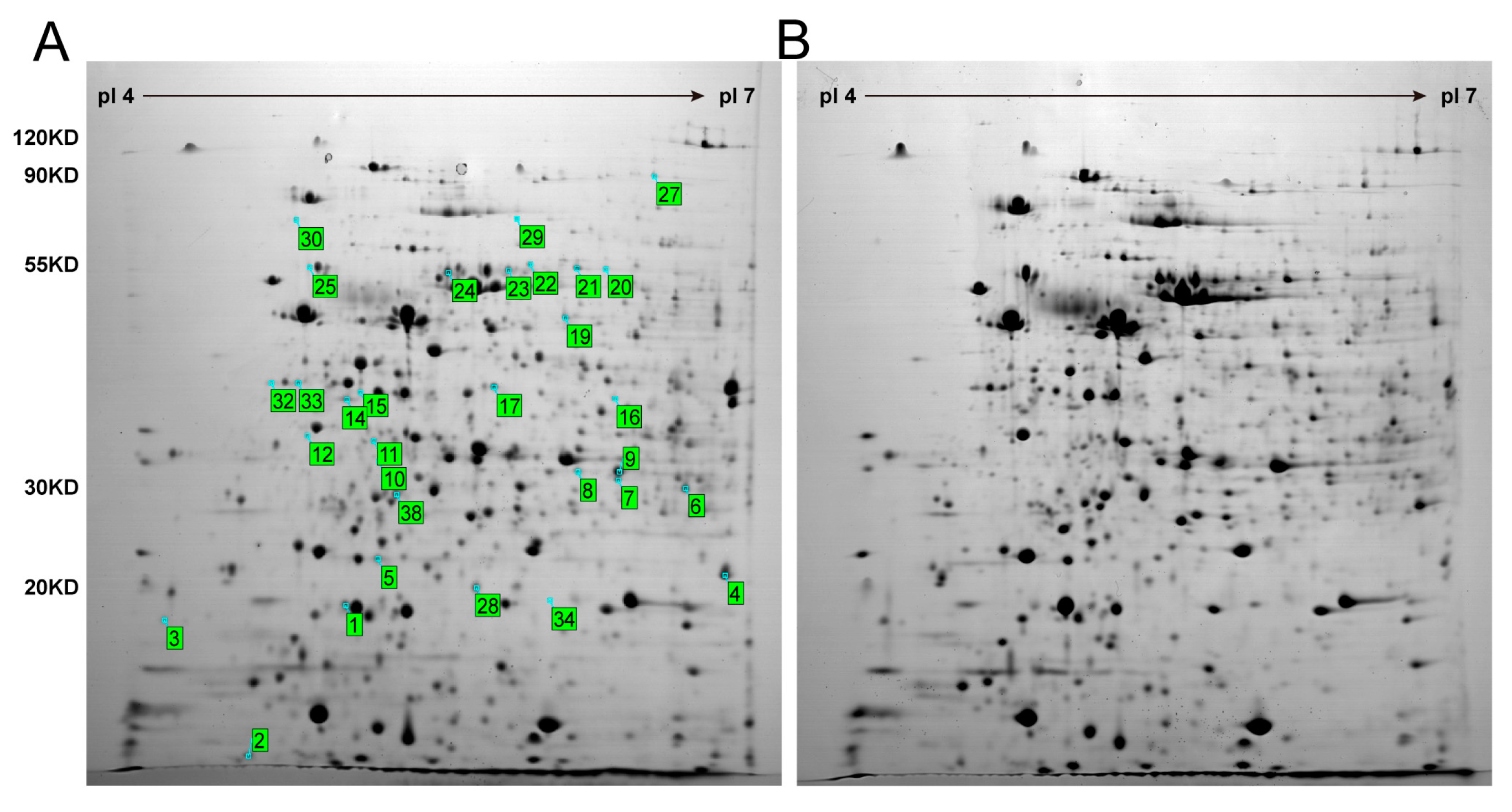 Fermentation 09 00575 g002 Fermentation 09 00575 g002