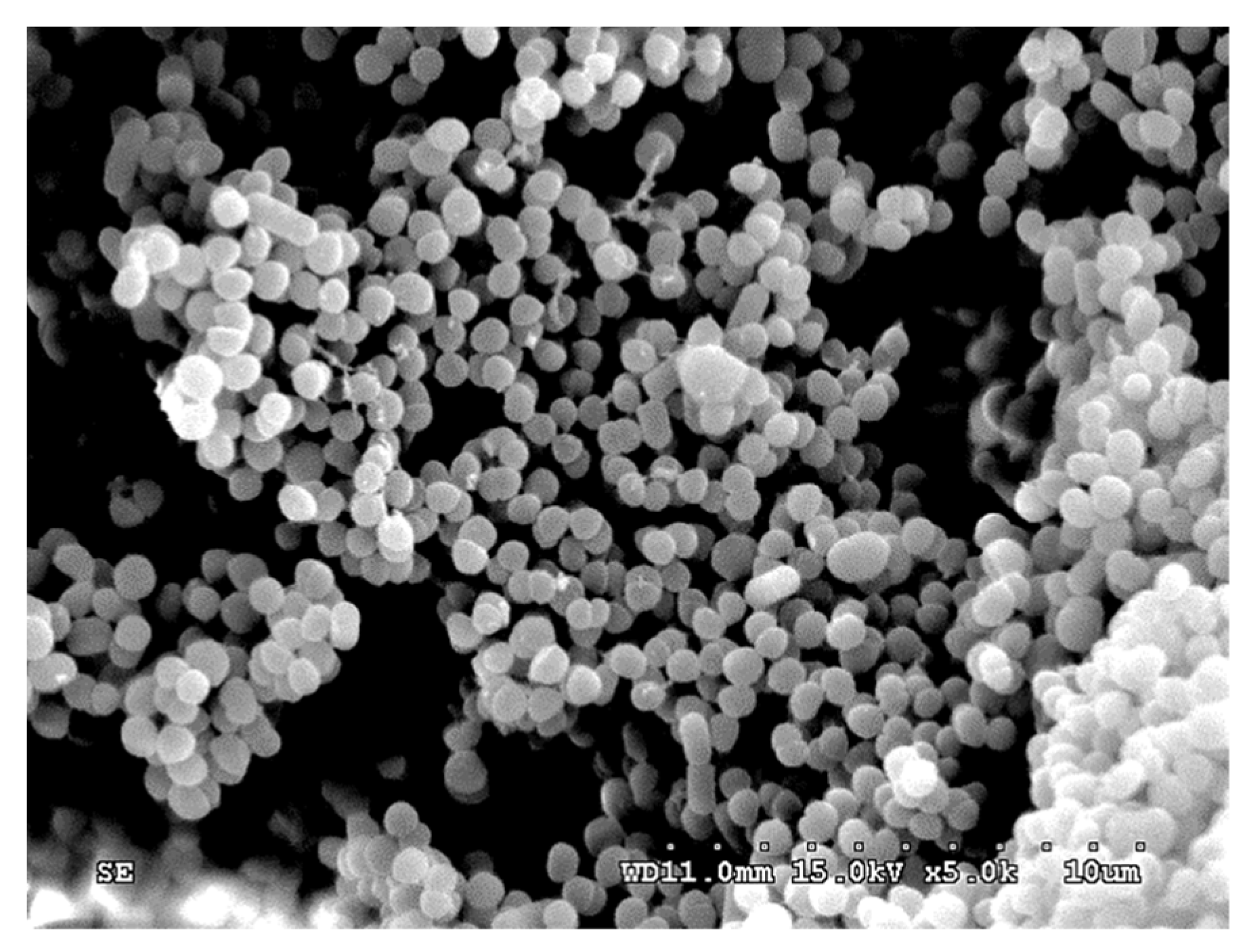 Fermentation 09 00578 g003