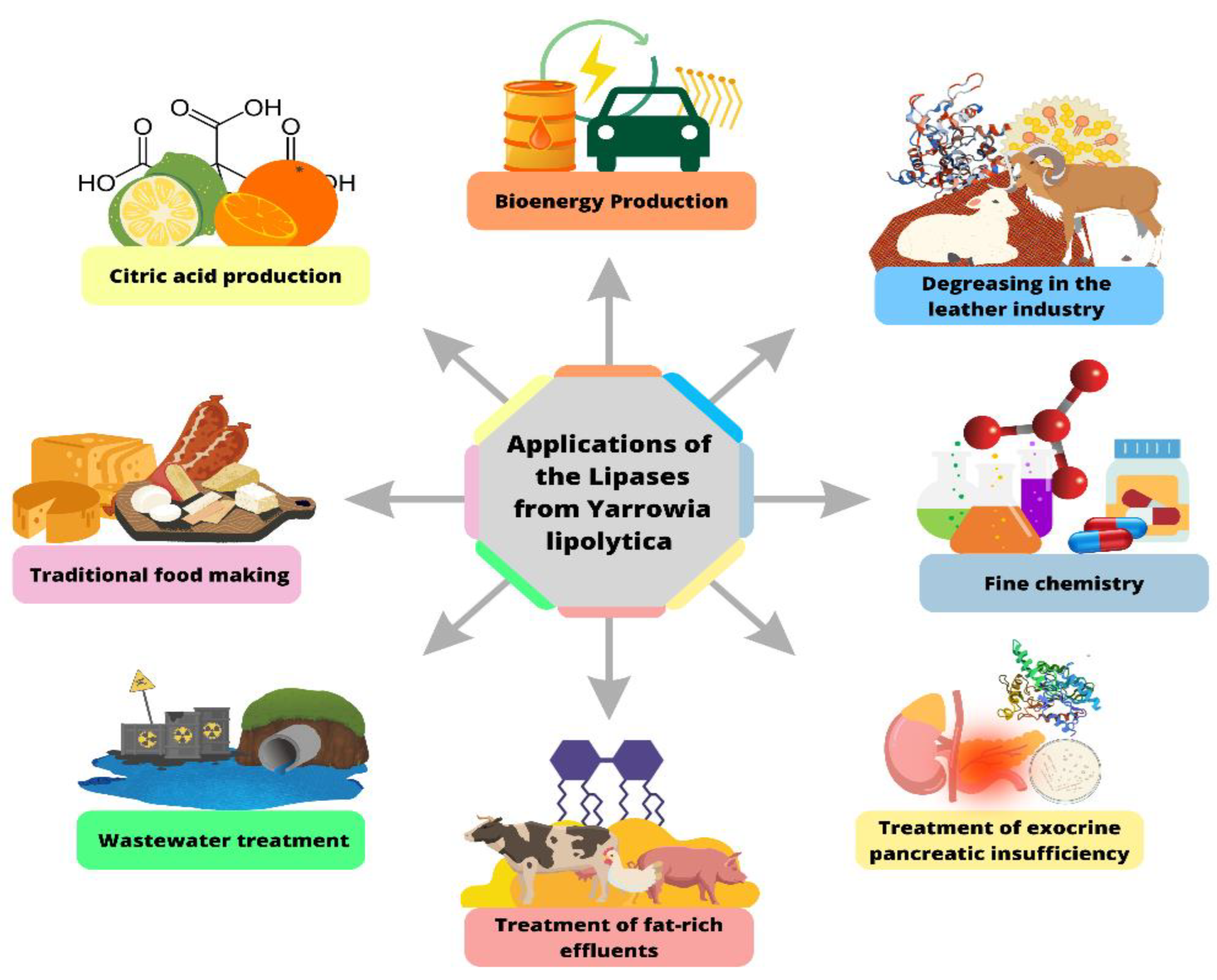 Fermentation 09 00581 g006 Fermentation 09 00581 g006