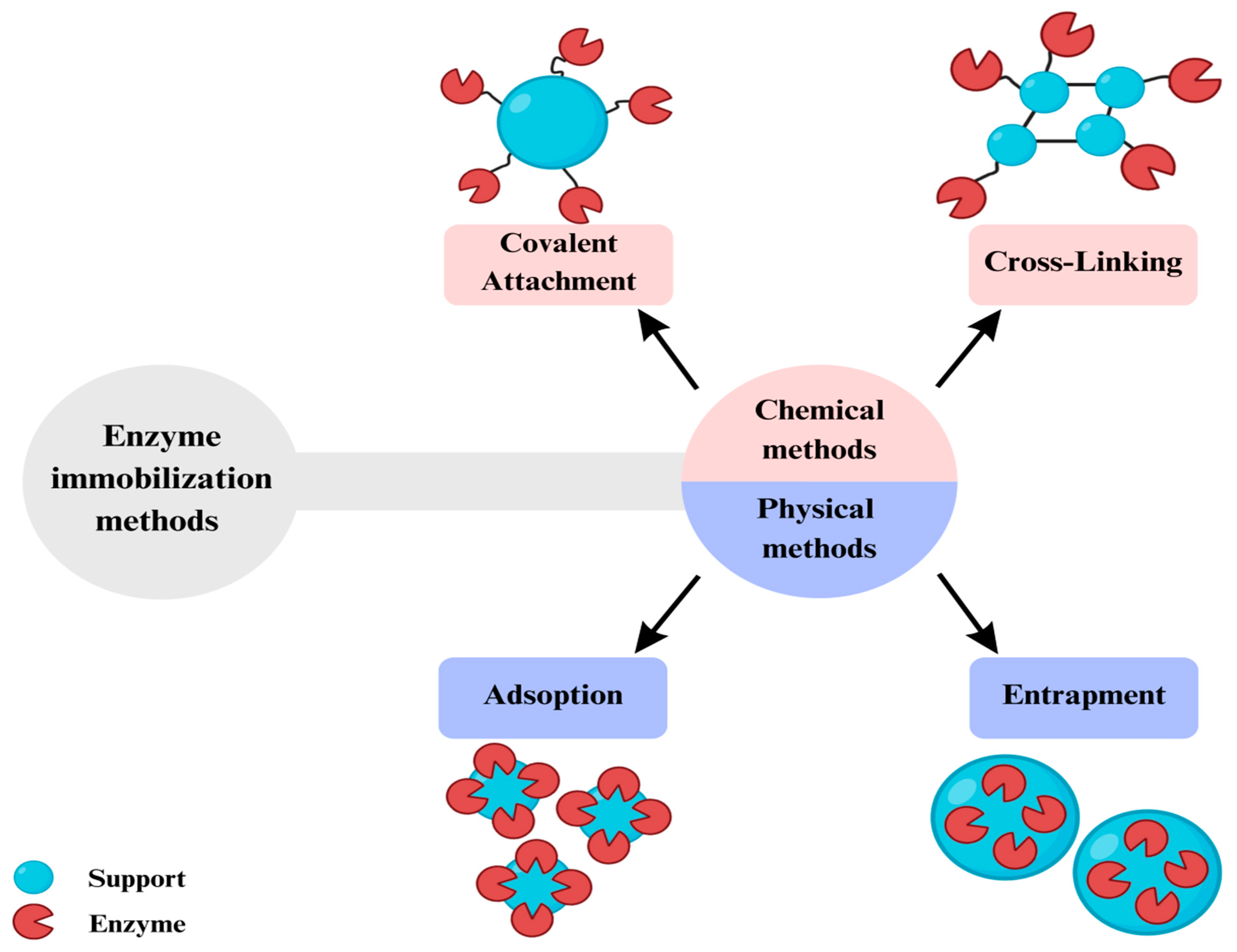 Fermentation 09 00581 g008 Fermentation 09 00581 g008
