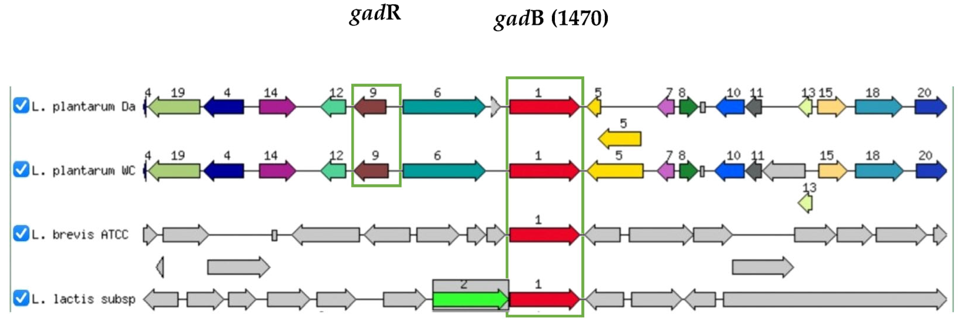Fermentation 09 00587 g006