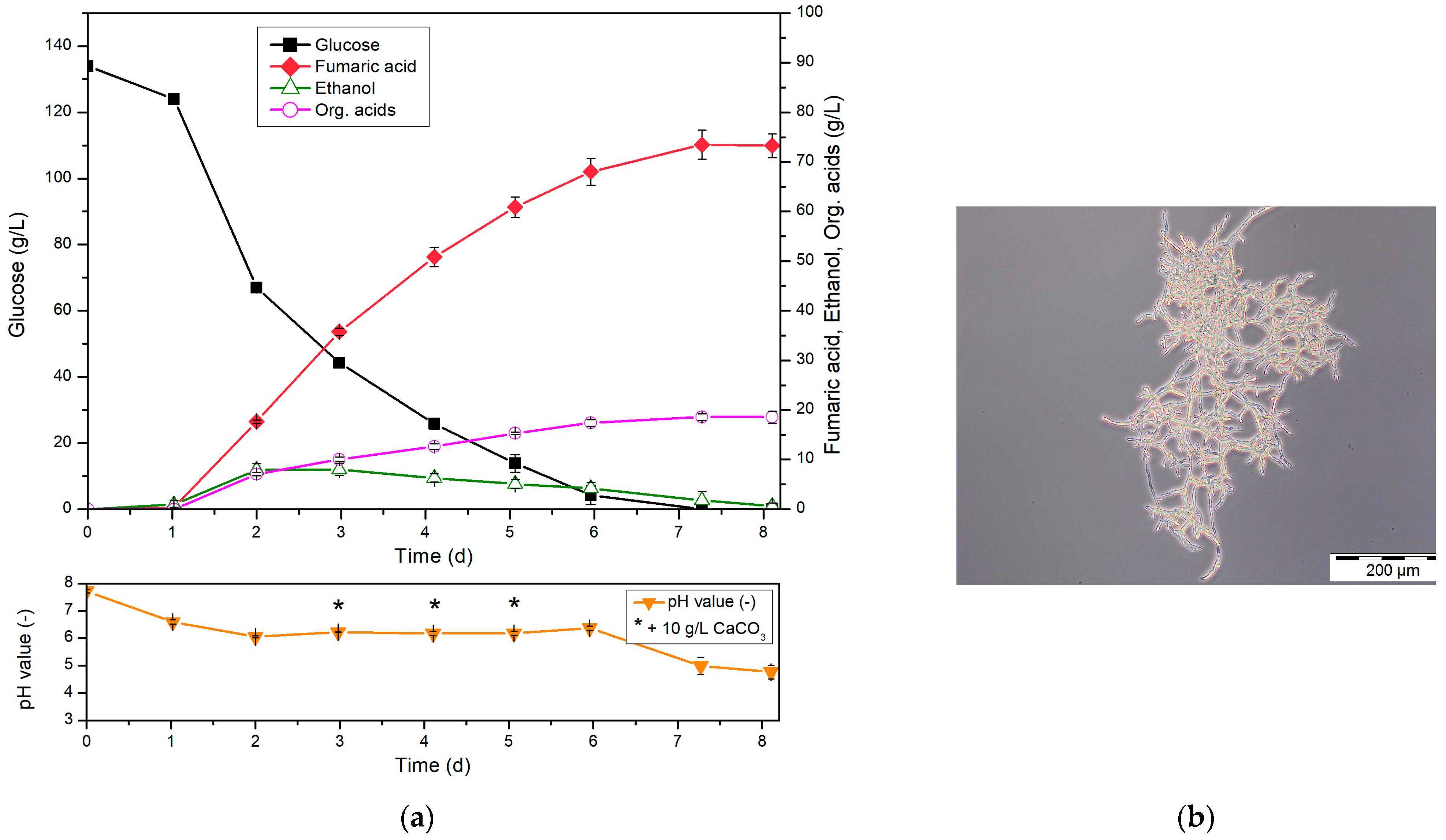 Fermentation 09 00588 g002 Fermentation 09 00588 g002