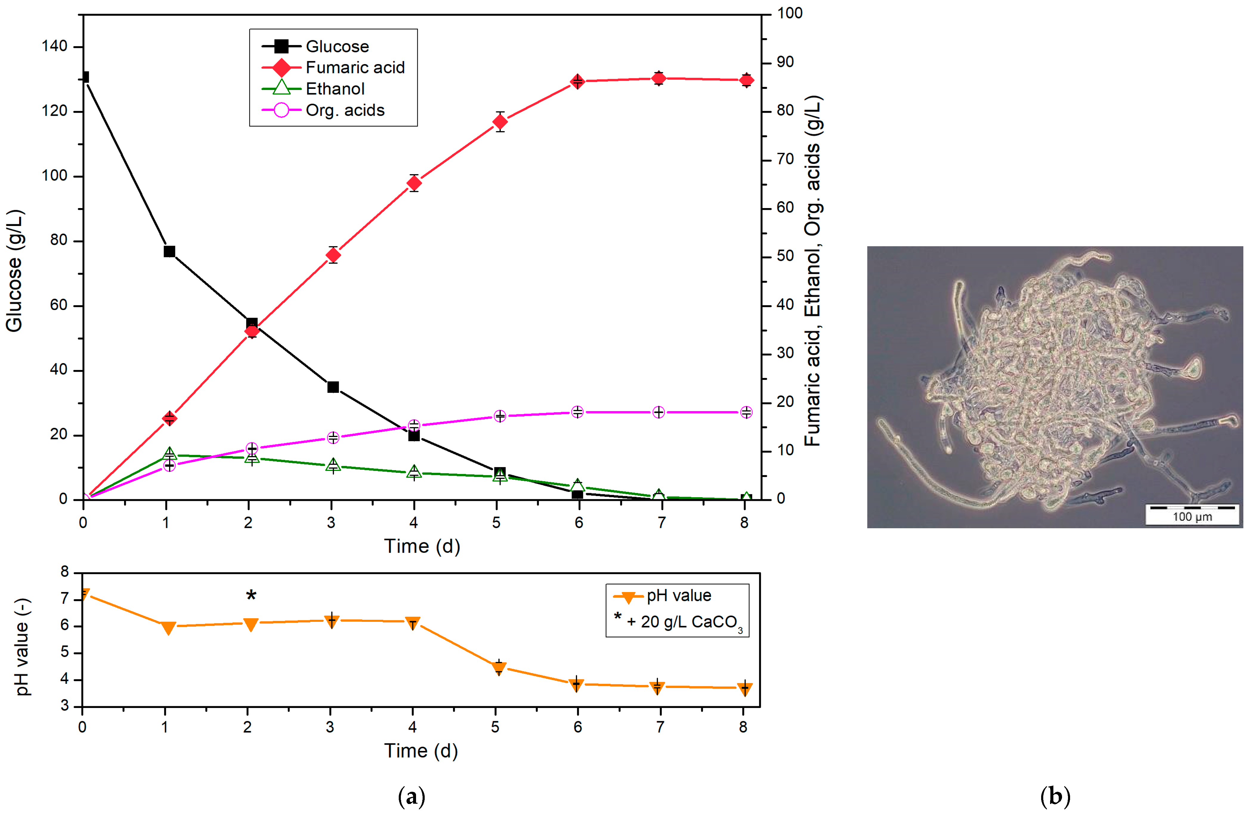 Fermentation 09 00588 g003 Fermentation 09 00588 g003
