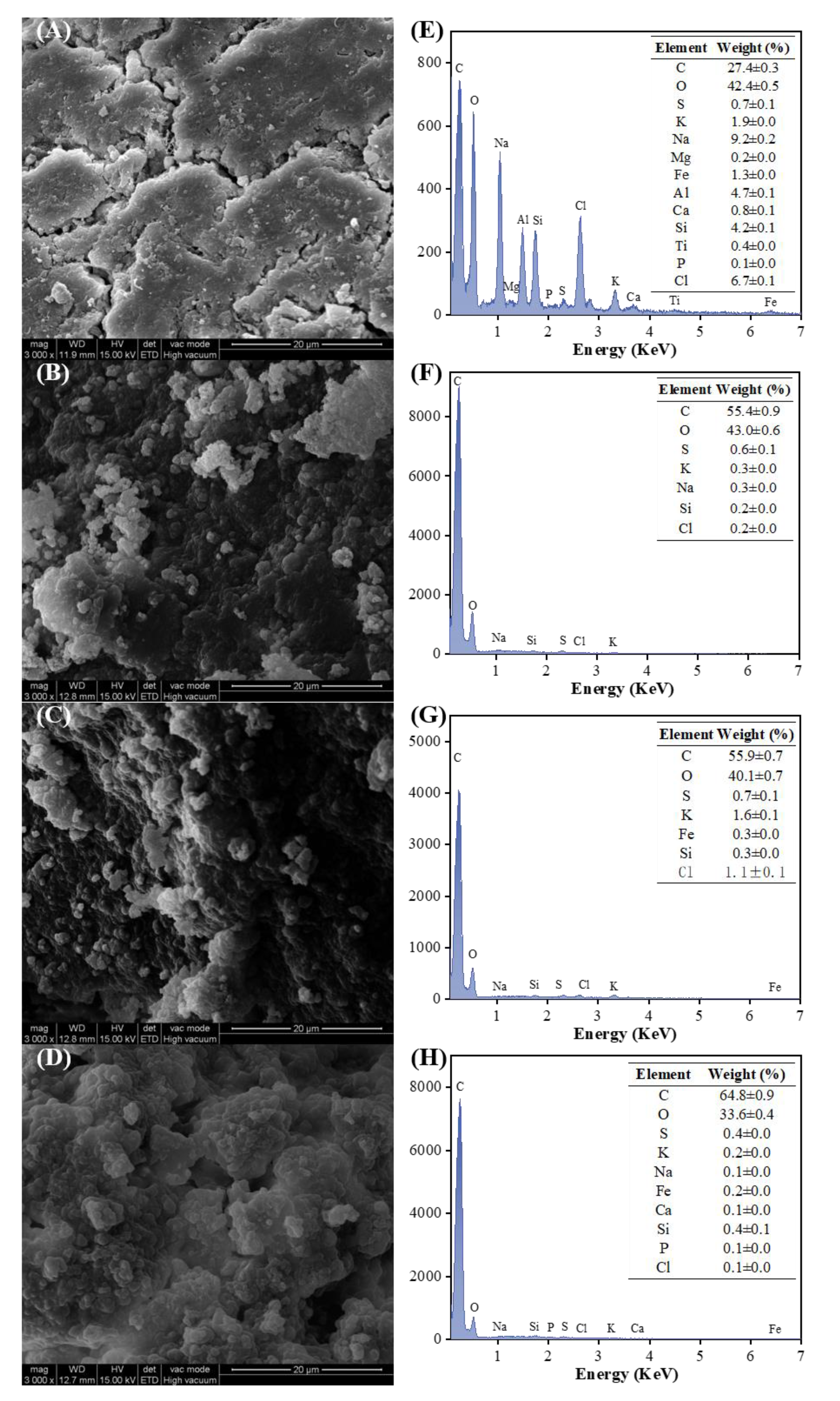 Fermentation 09 00589 g004 Fermentation 09 00589 g004