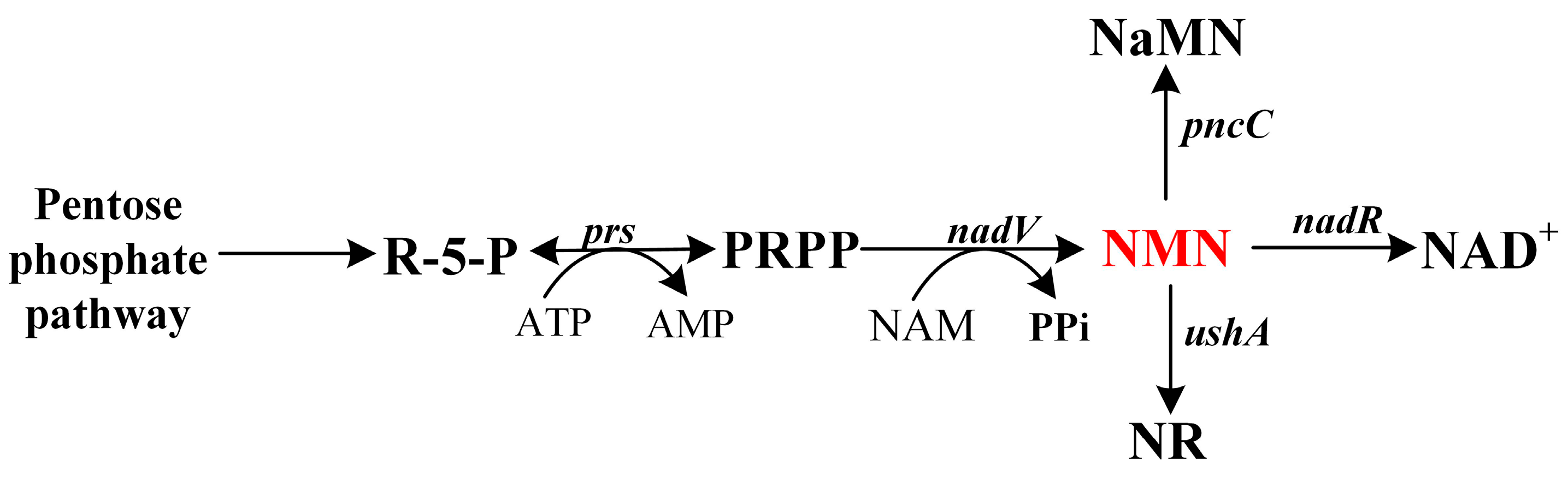 Fermentation 09 00594 g003