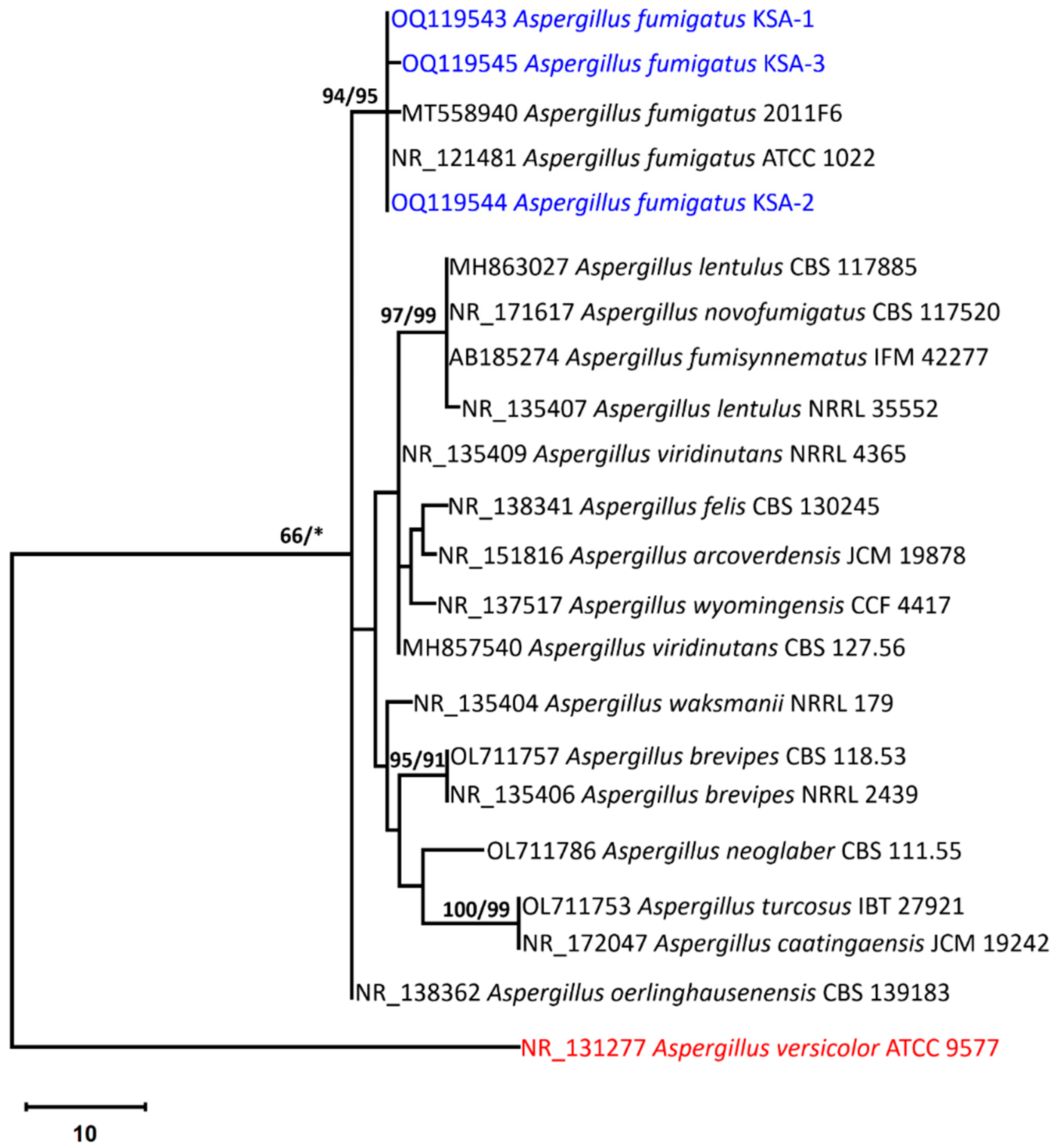 Fermentation 09 00595 g006 Fermentation 09 00595 g006