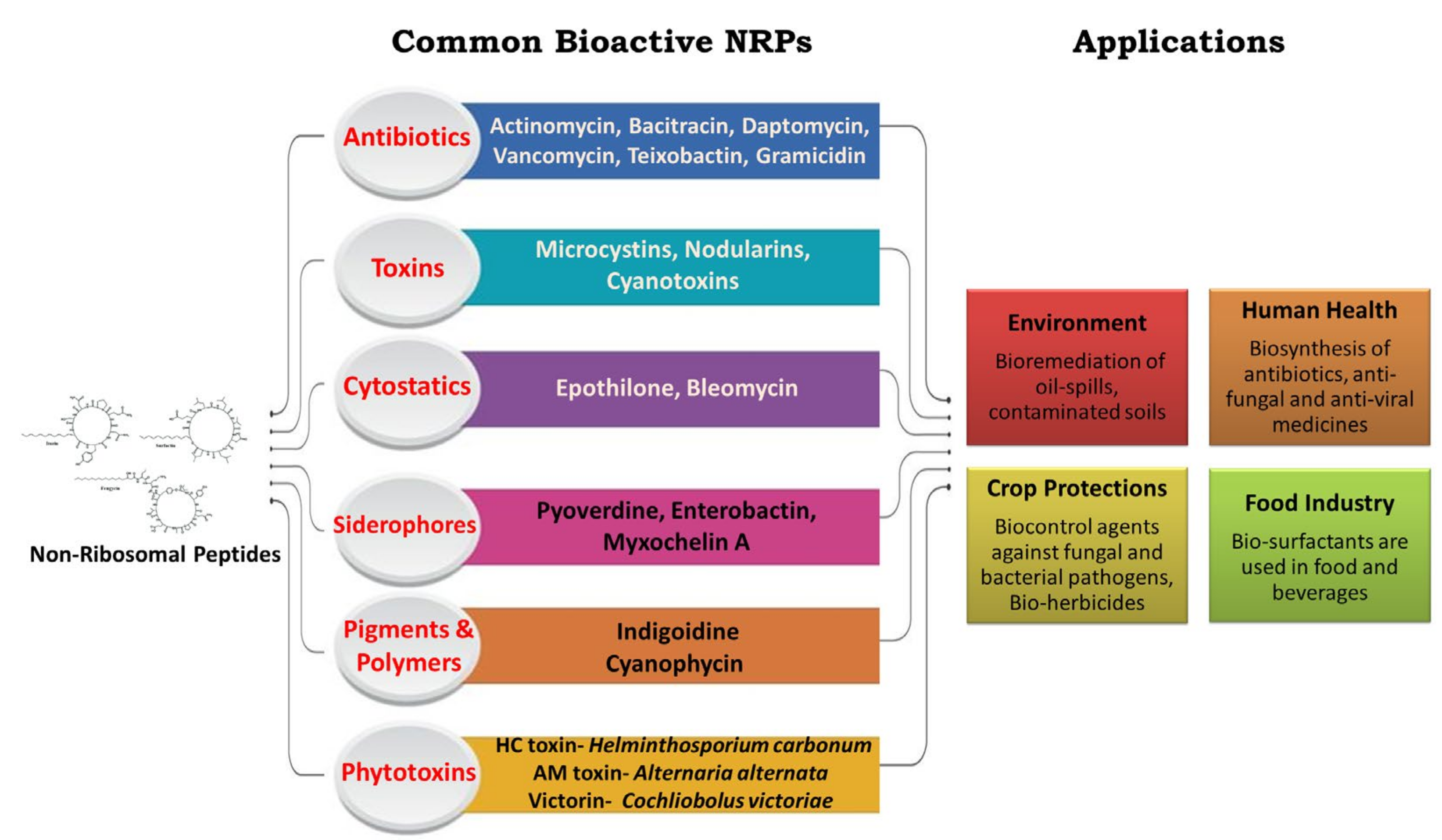 Fermentation 09 00597 g001 Fermentation 09 00597 g001