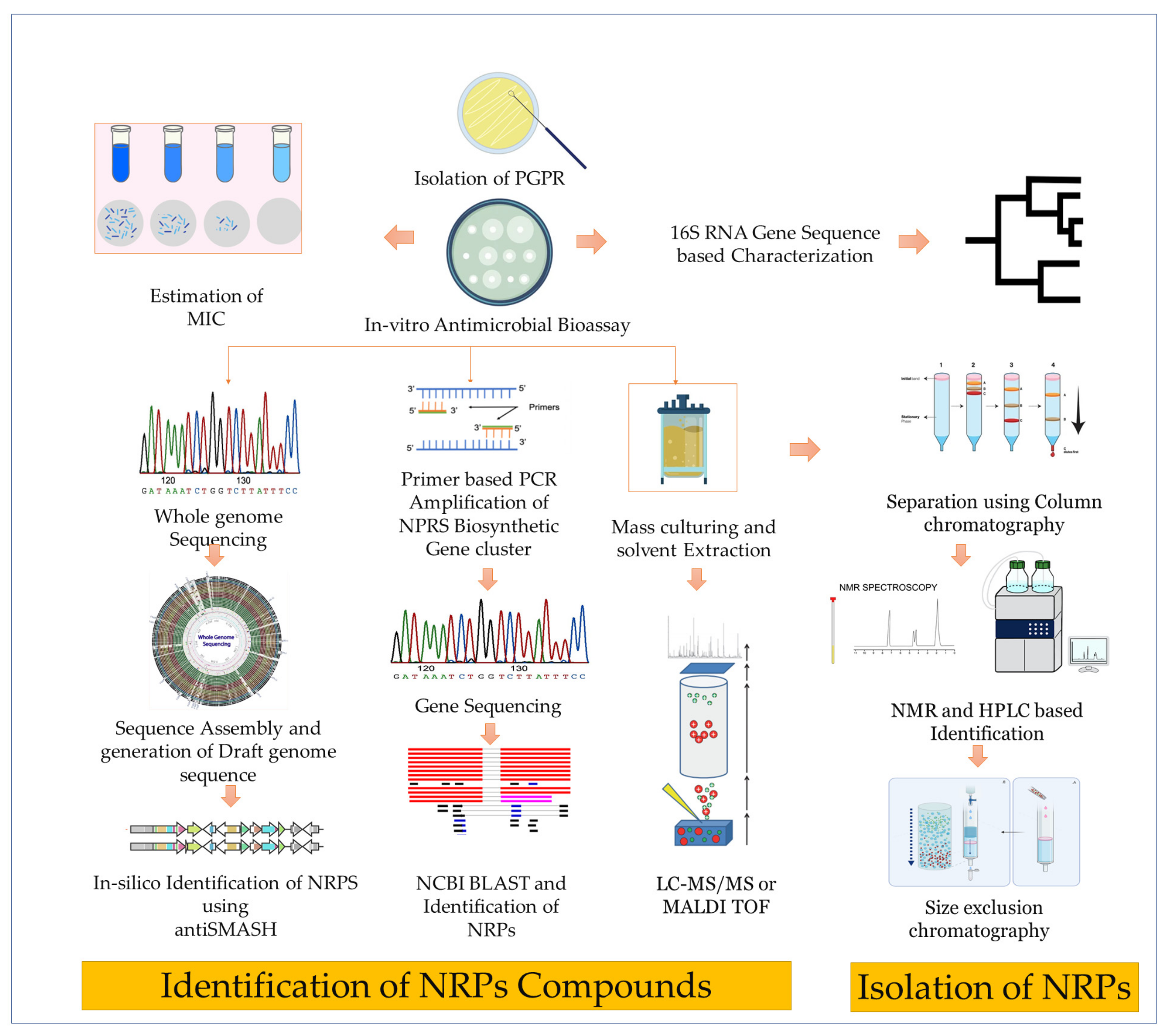 Fermentation 09 00597 g004 Fermentation 09 00597 g004