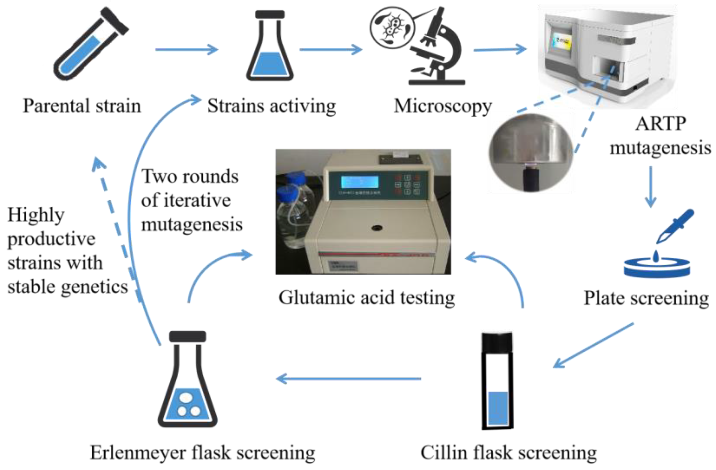 Fermentation 09 00599 g001