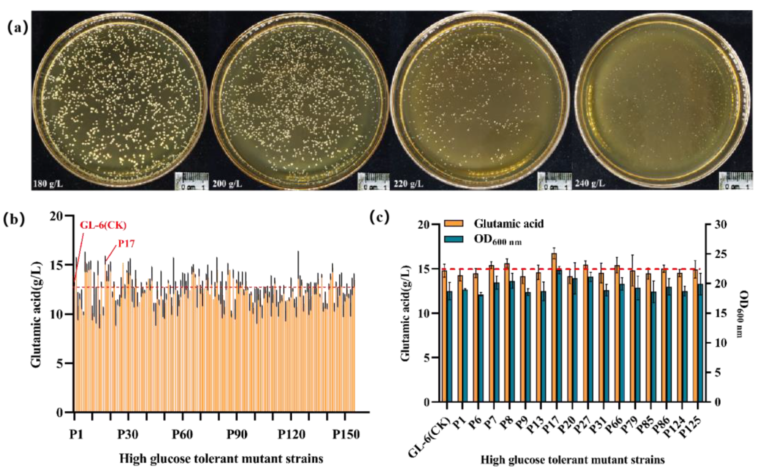 Fermentation 09 00599 g003