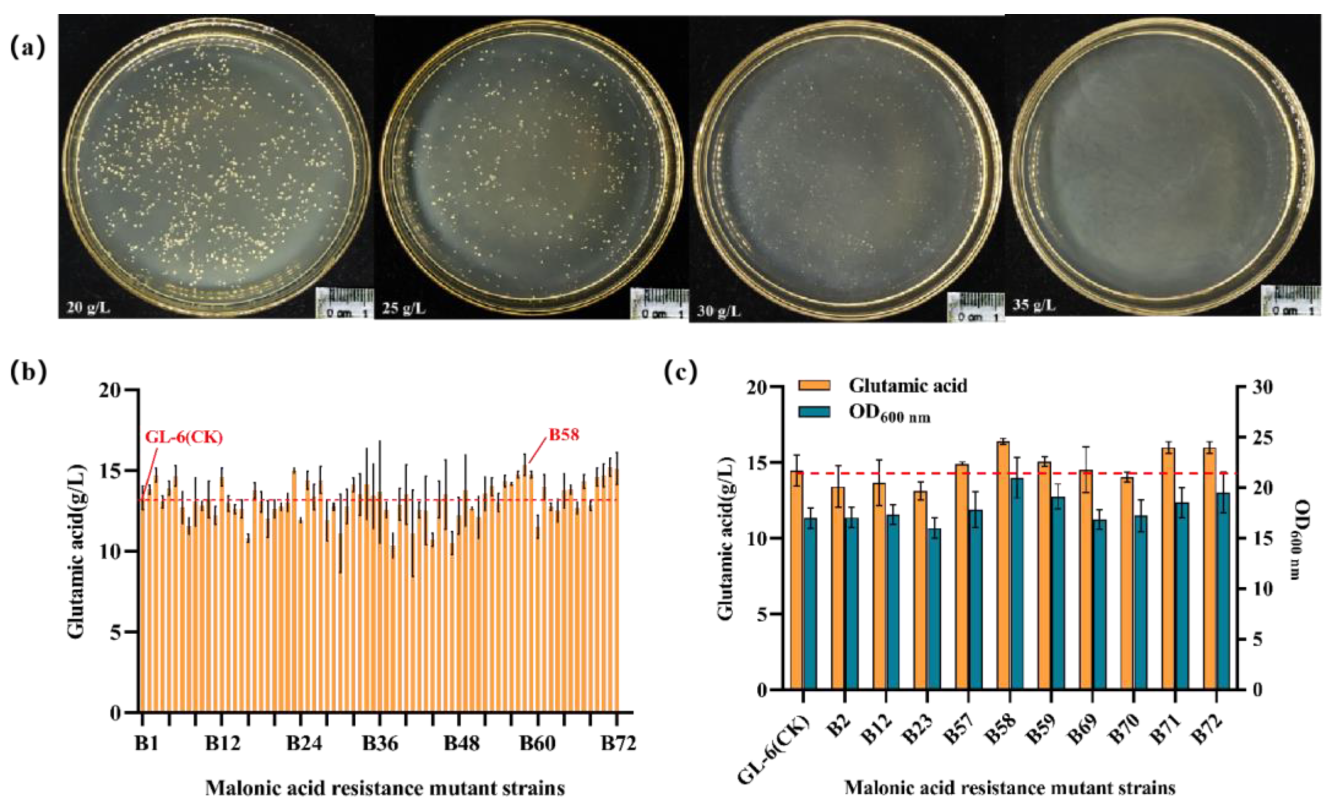 Fermentation 09 00599 g004