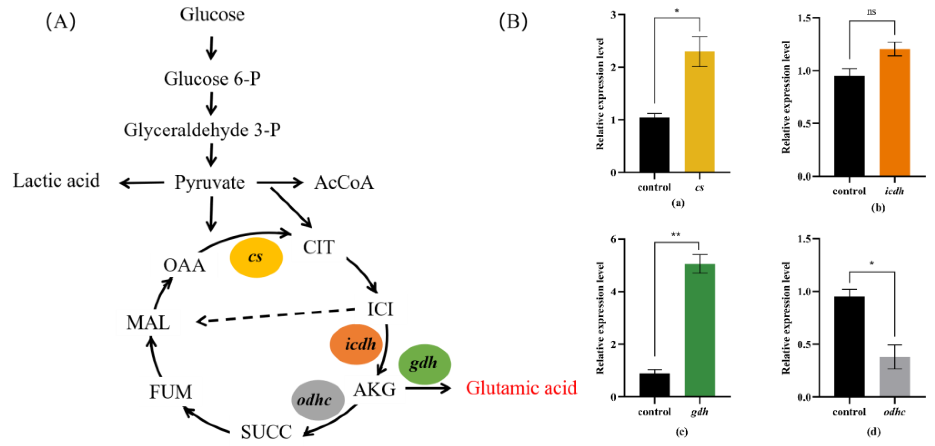Fermentation 09 00599 g009
