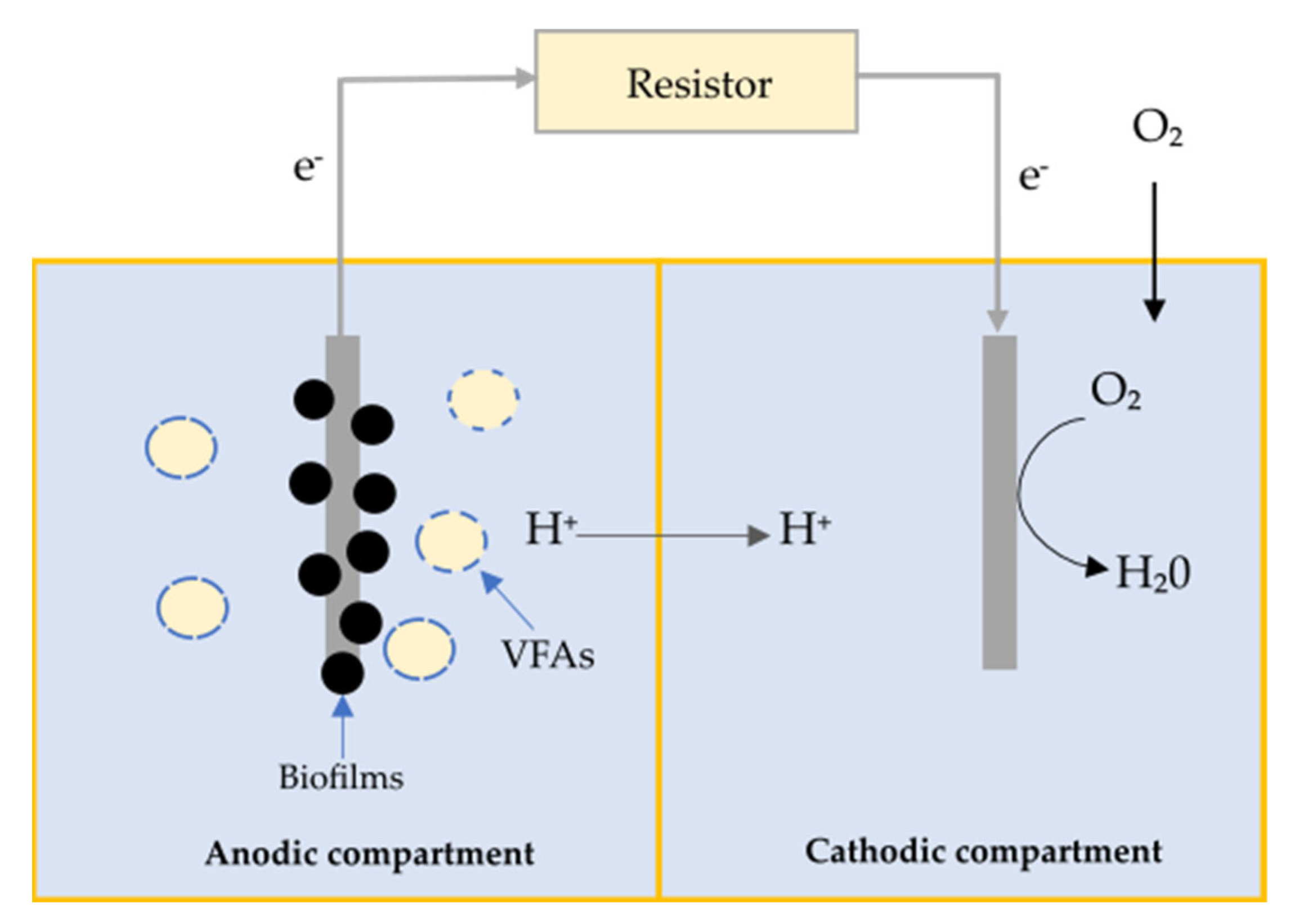 Fermentation 09 00602 g002