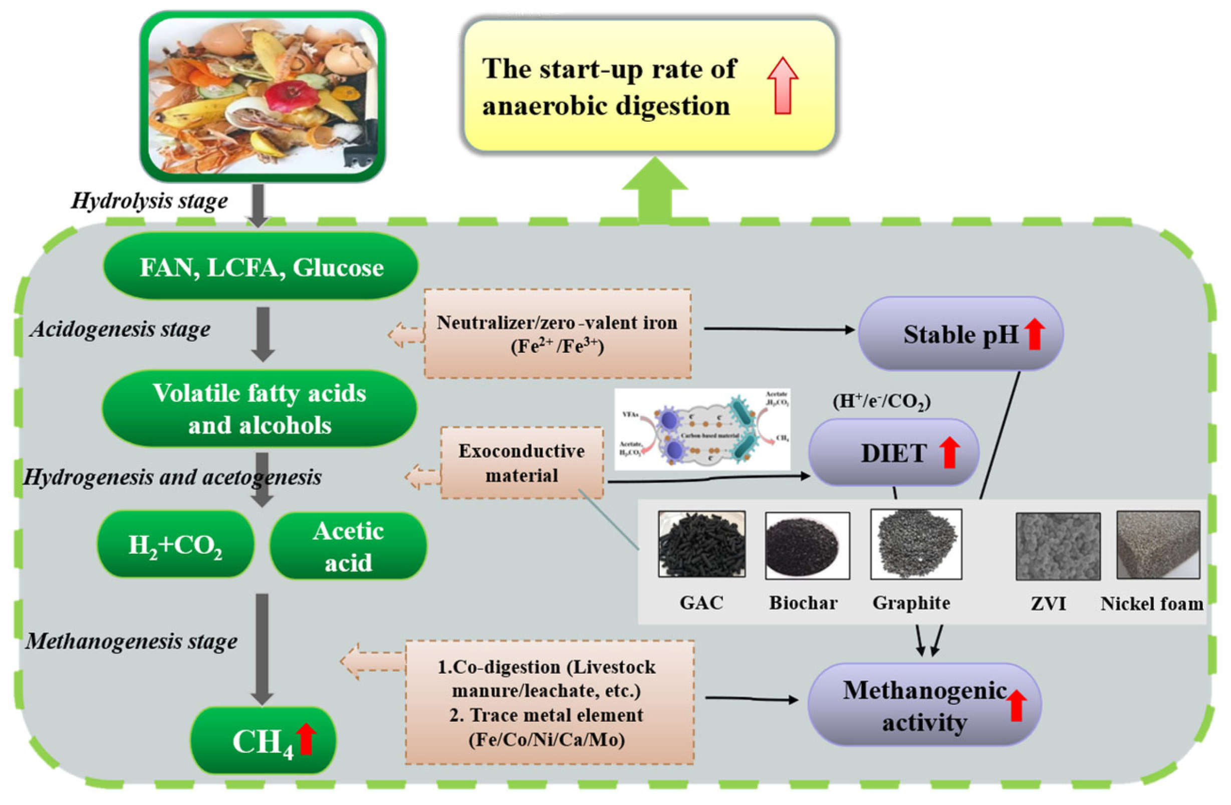 Fermentation 09 00603 g005 Fermentation 09 00603 g005