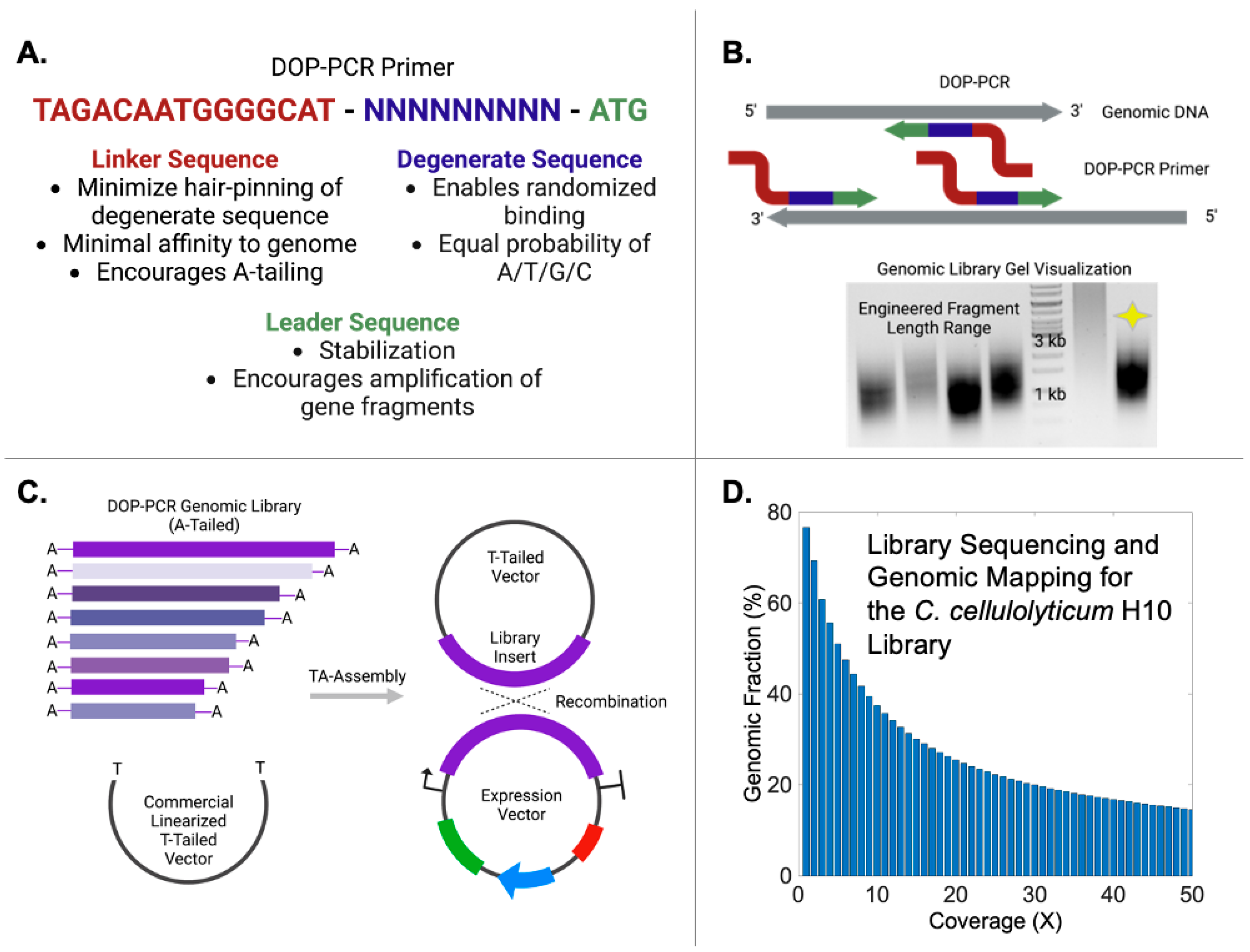 Fermentation 09 00605 g001 Fermentation 09 00605 g001