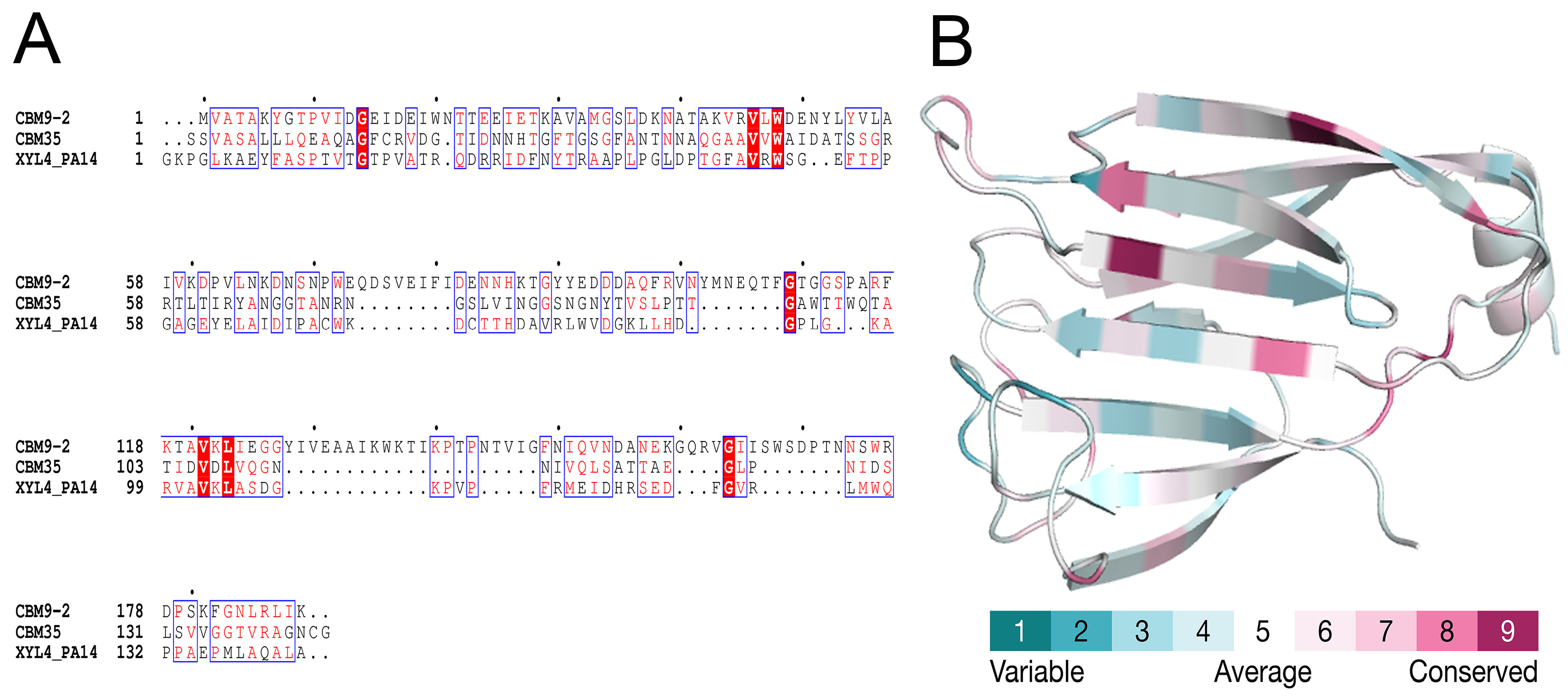 Fermentation 09 00606 g003