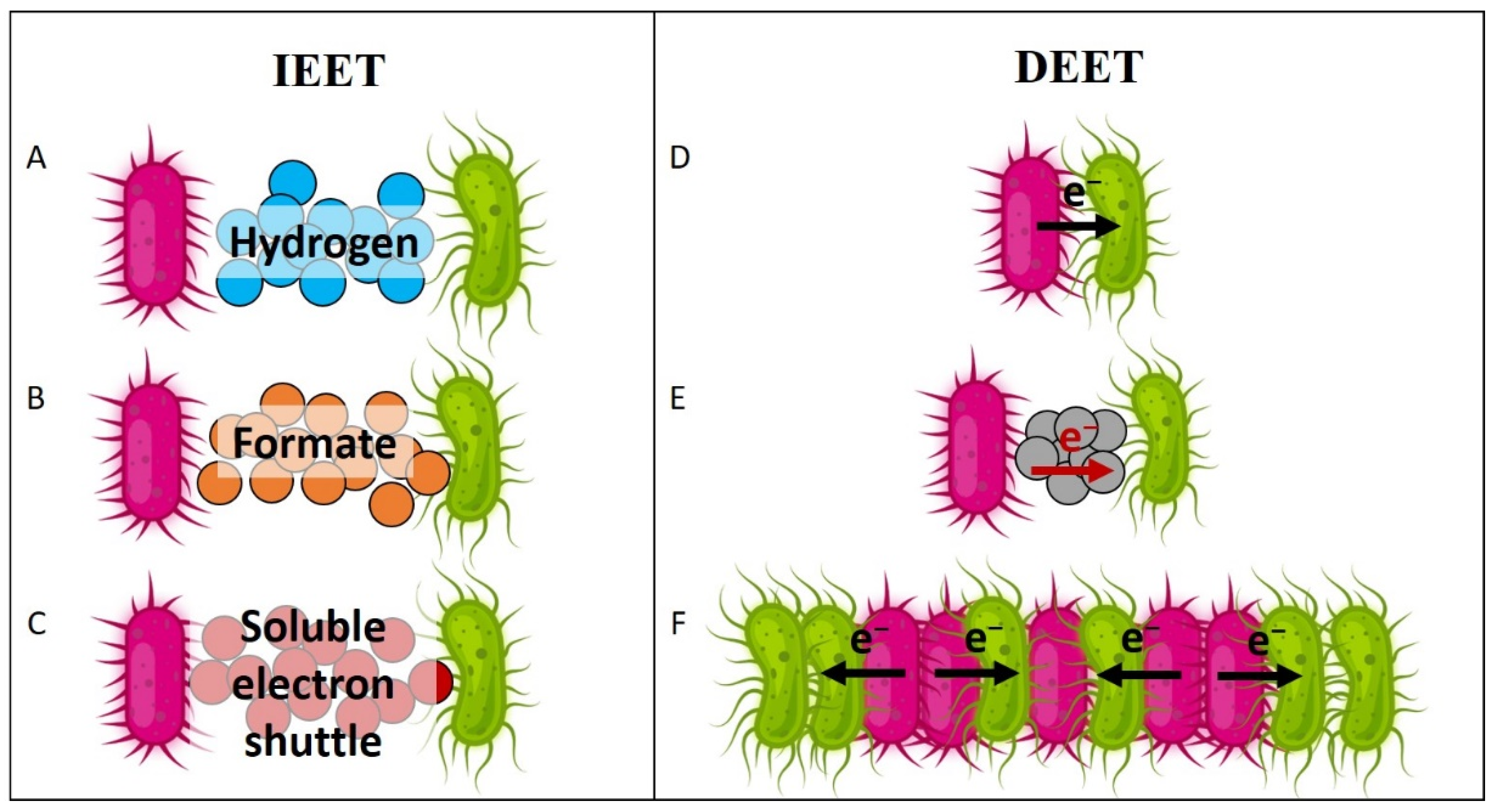 Fermentation 09 00610 g002 Fermentation 09 00610 g002