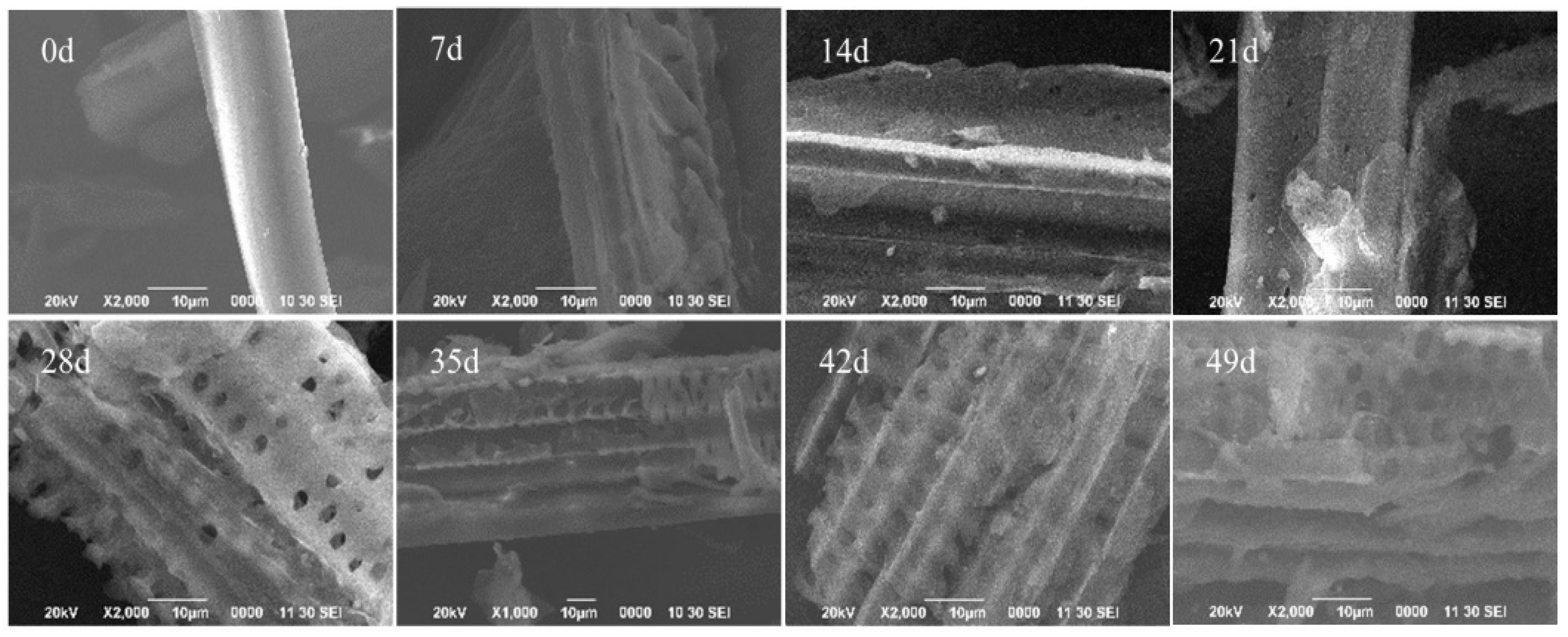 Fermentation 09 00611 g004