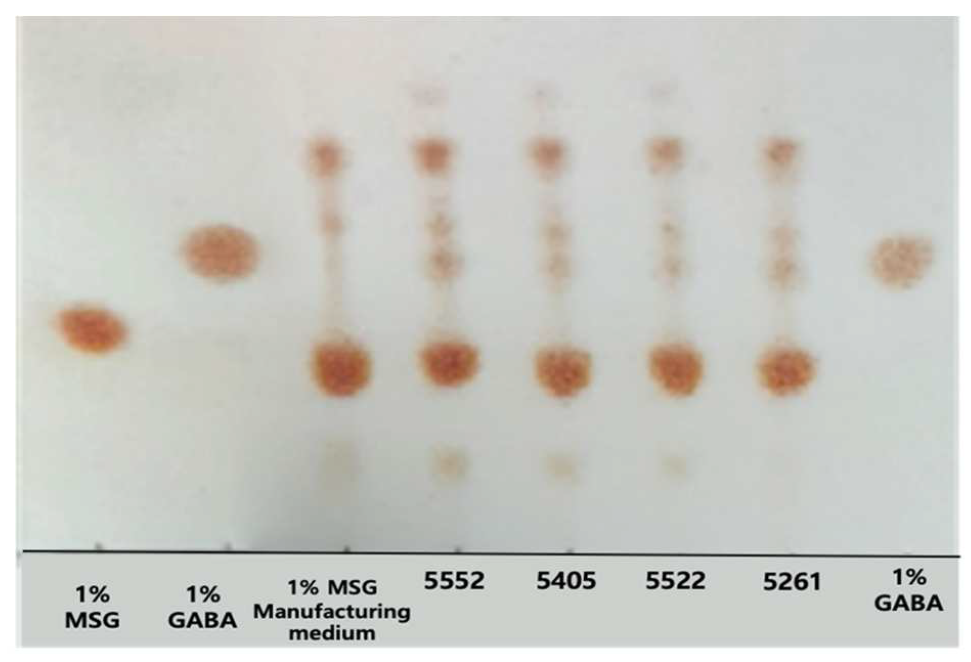 Isolation of γ-Aminobutyric Acid (GABA)-Producing Lactic Acid Bacteria ...