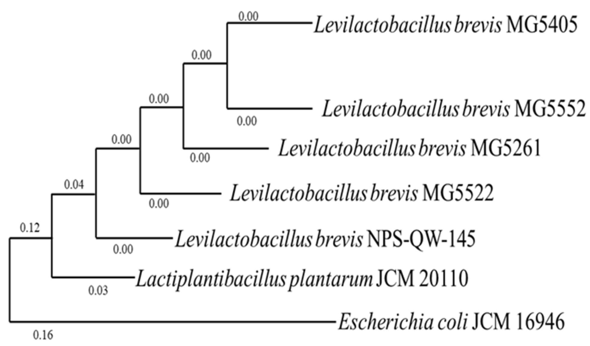 Fermentation 09 00612 g002 Fermentation 09 00612 g002