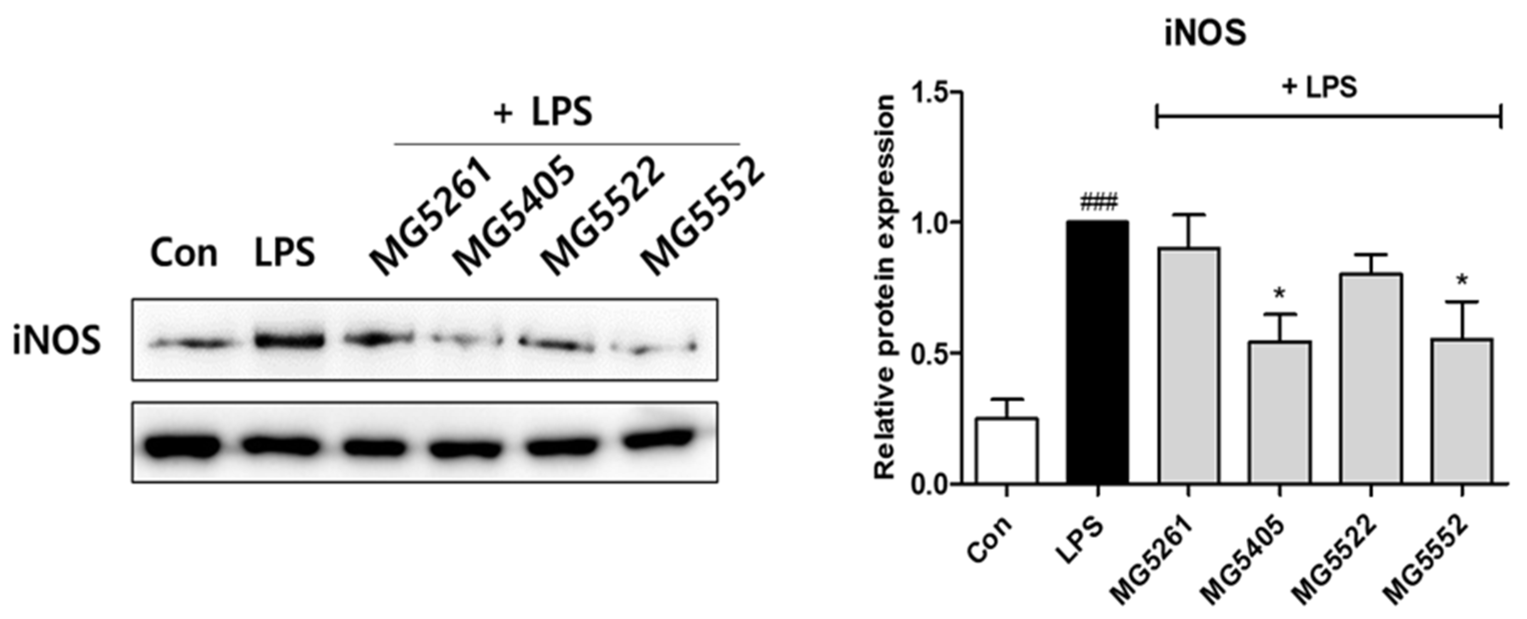 Isolation of γ-Aminobutyric Acid (GABA)-Producing Lactic Acid Bacteria ...