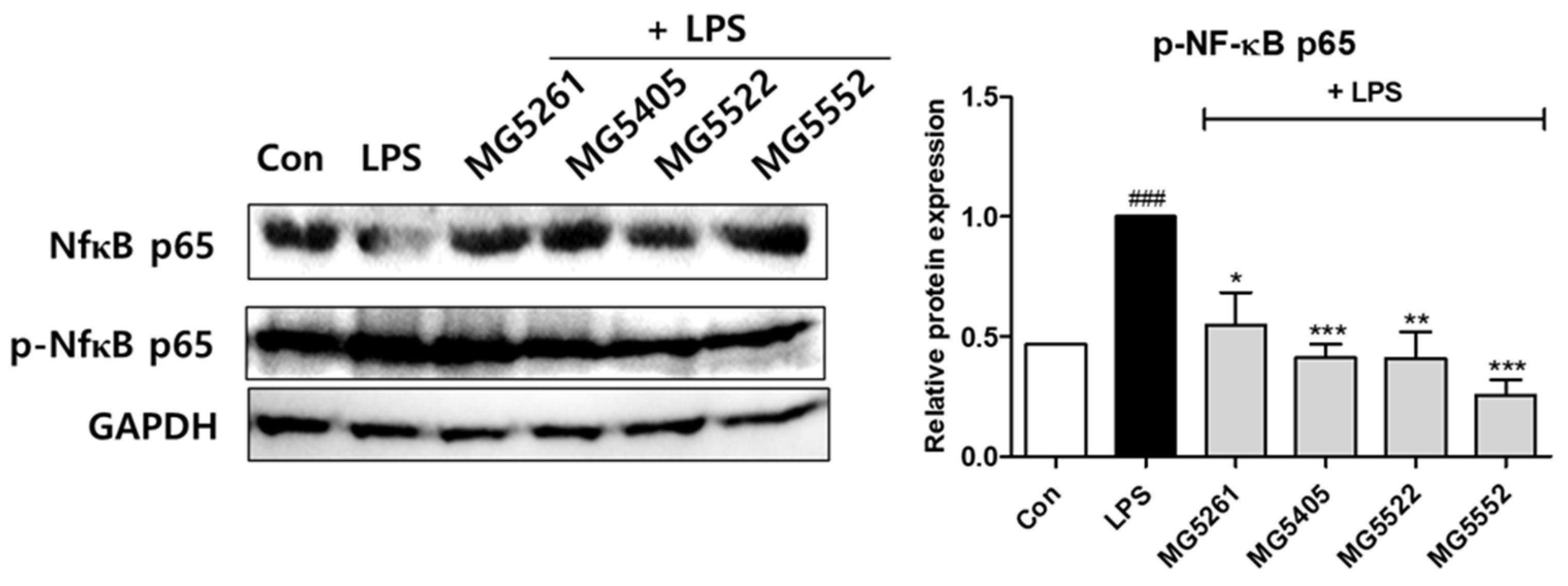 Fermentation 09 00612 g005 Fermentation 09 00612 g005