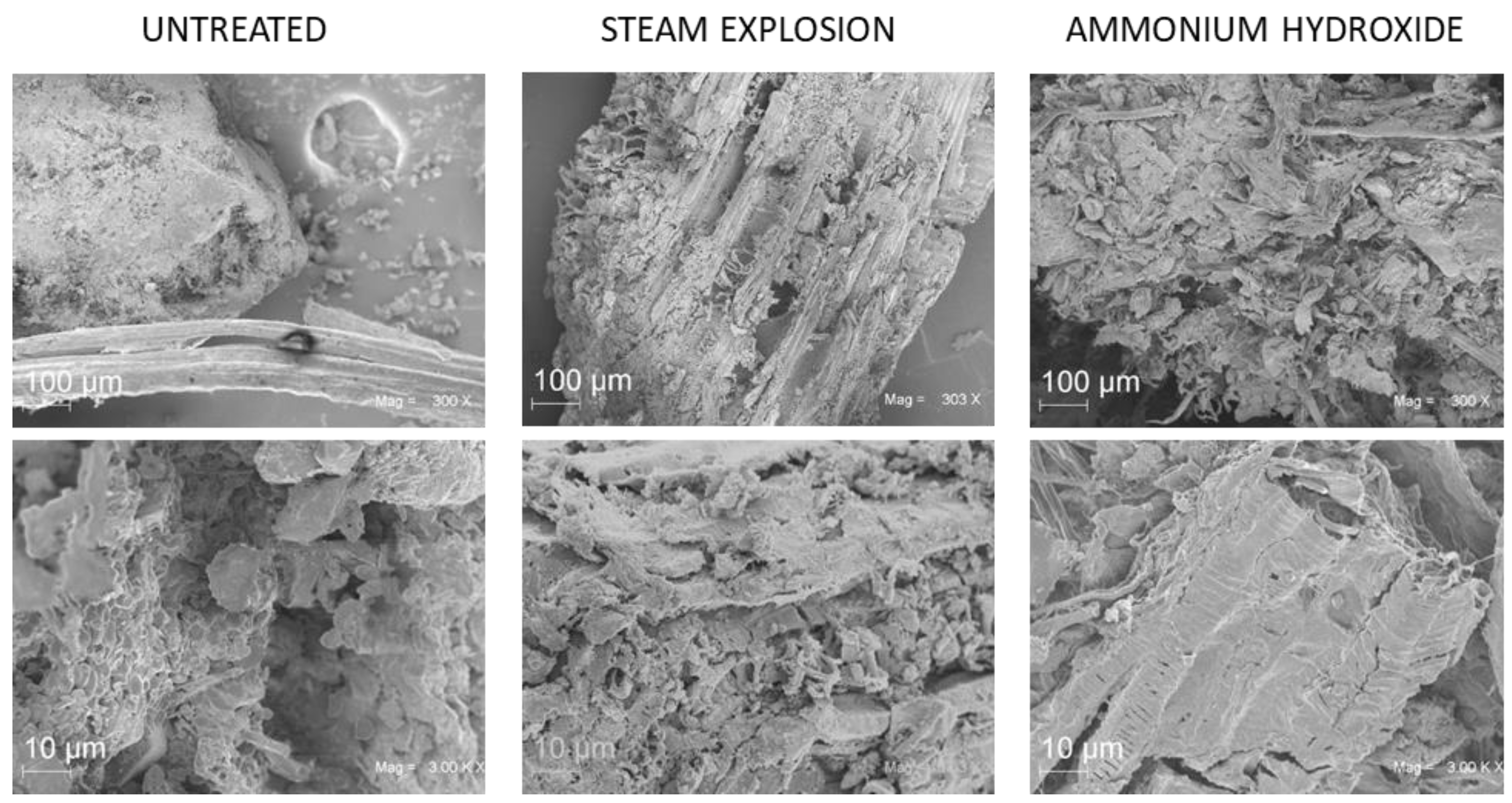 Fermentation 09 00616 g002
