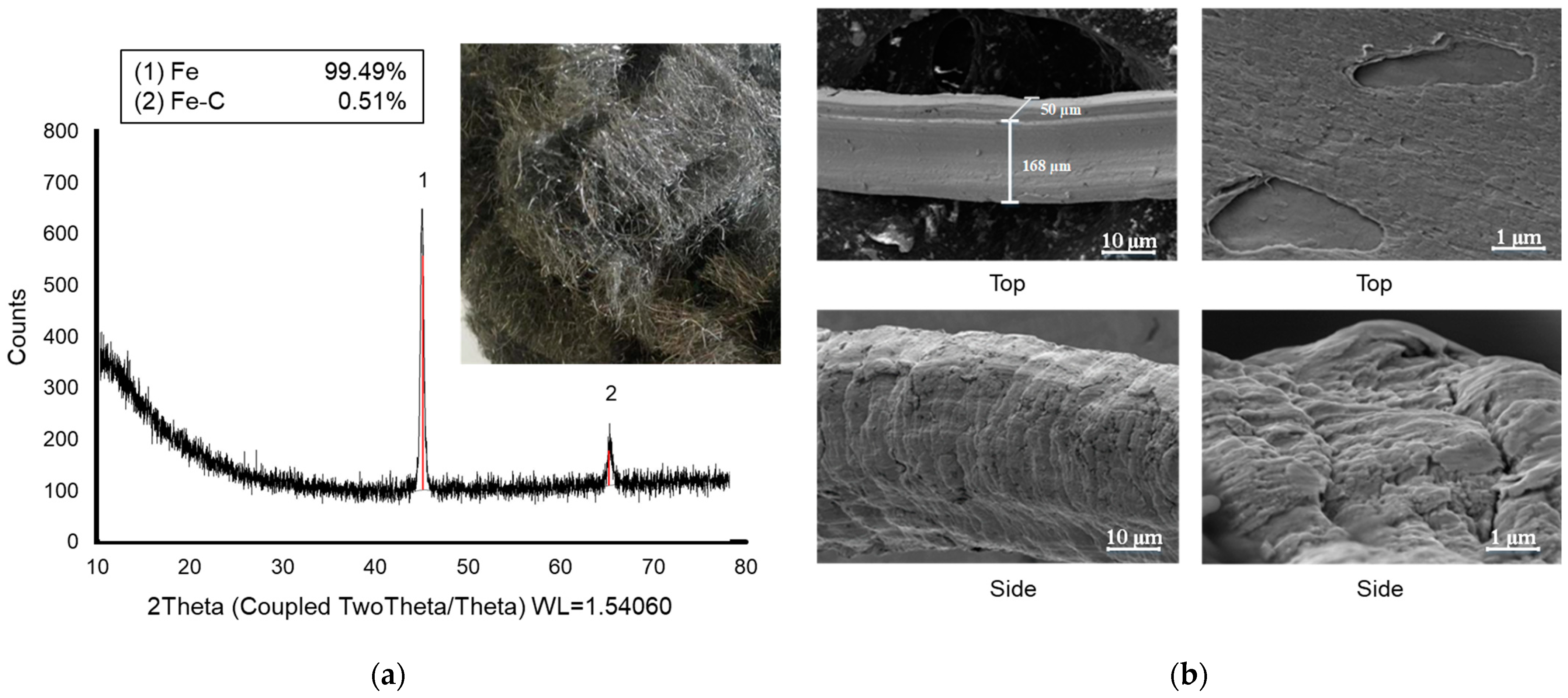 Fermentation 09 00622 g002