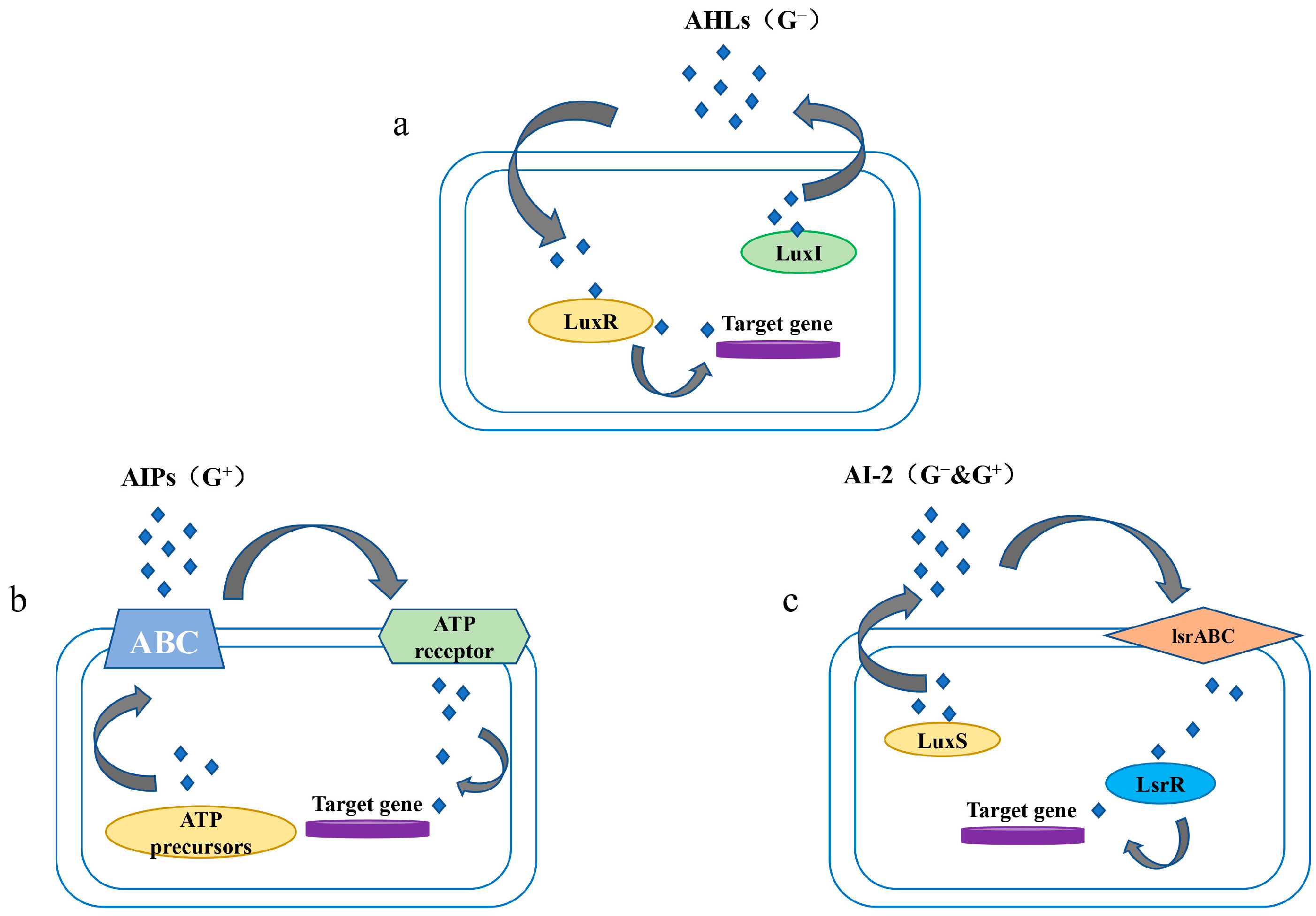 Fermentation 09 00625 g001 Fermentation 09 00625 g001