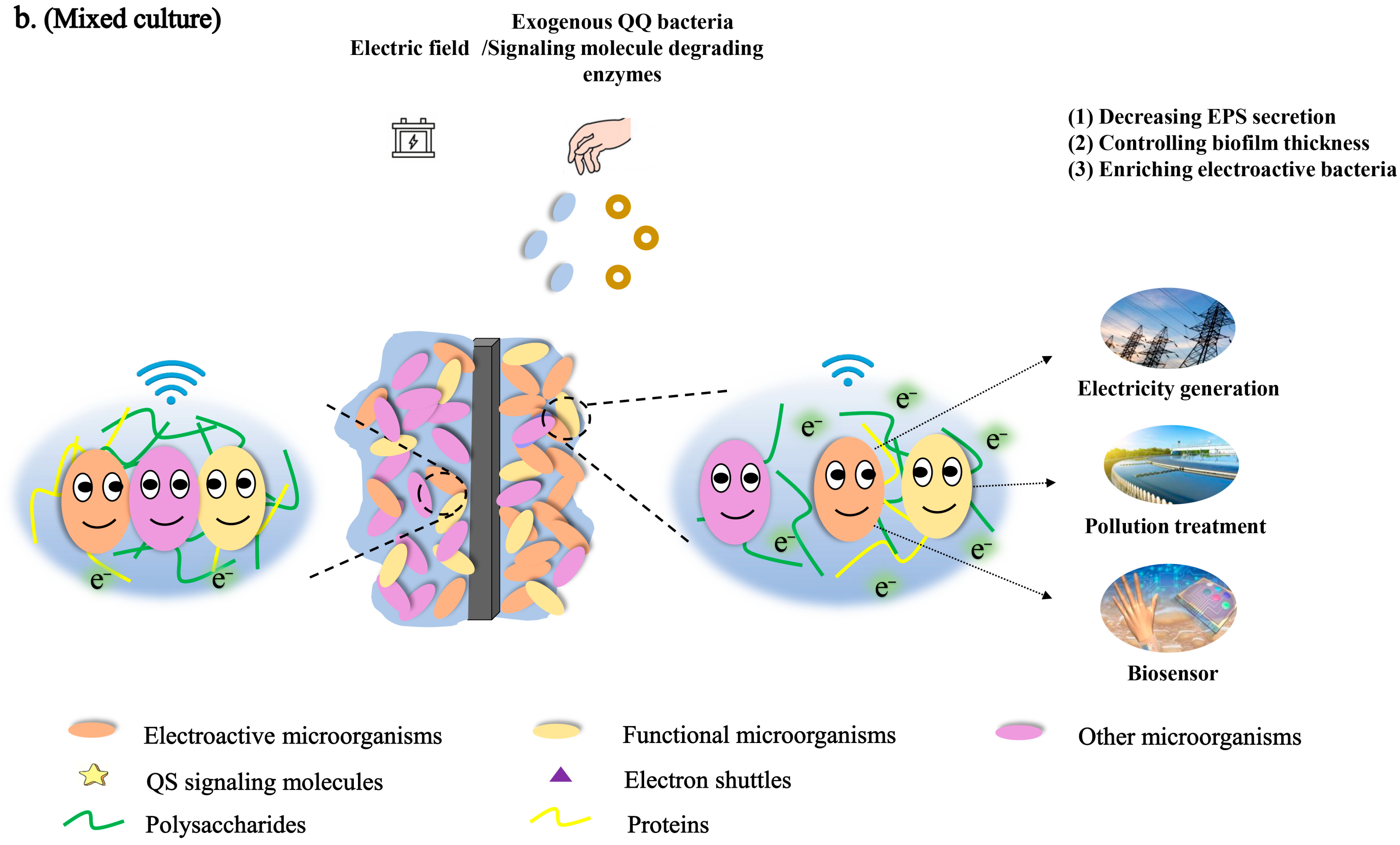 Fermentation 09 00625 g002b Fermentation 09 00625 g002b