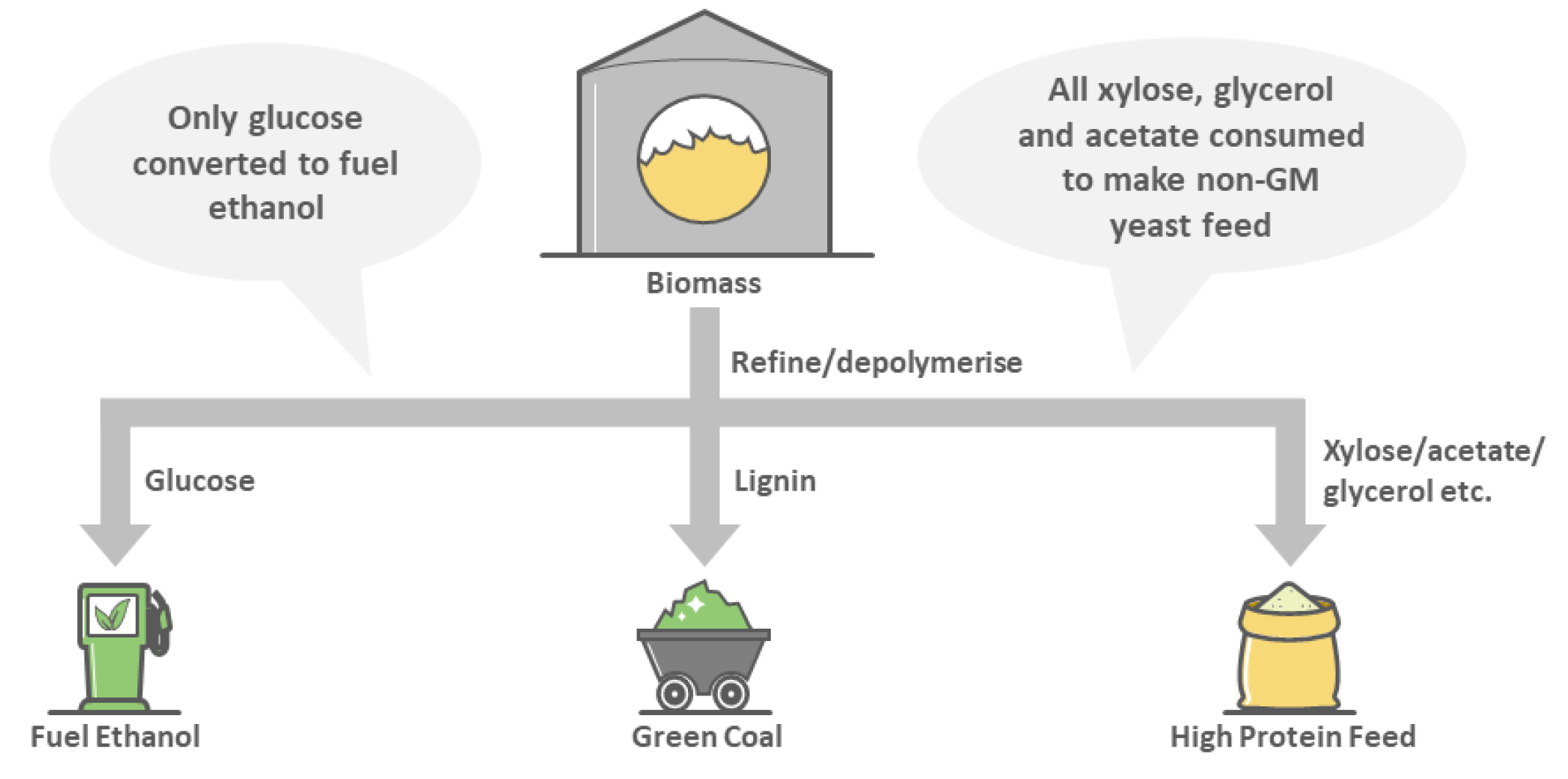 Fermentation 09 00633 g002 Fermentation 09 00633 g002