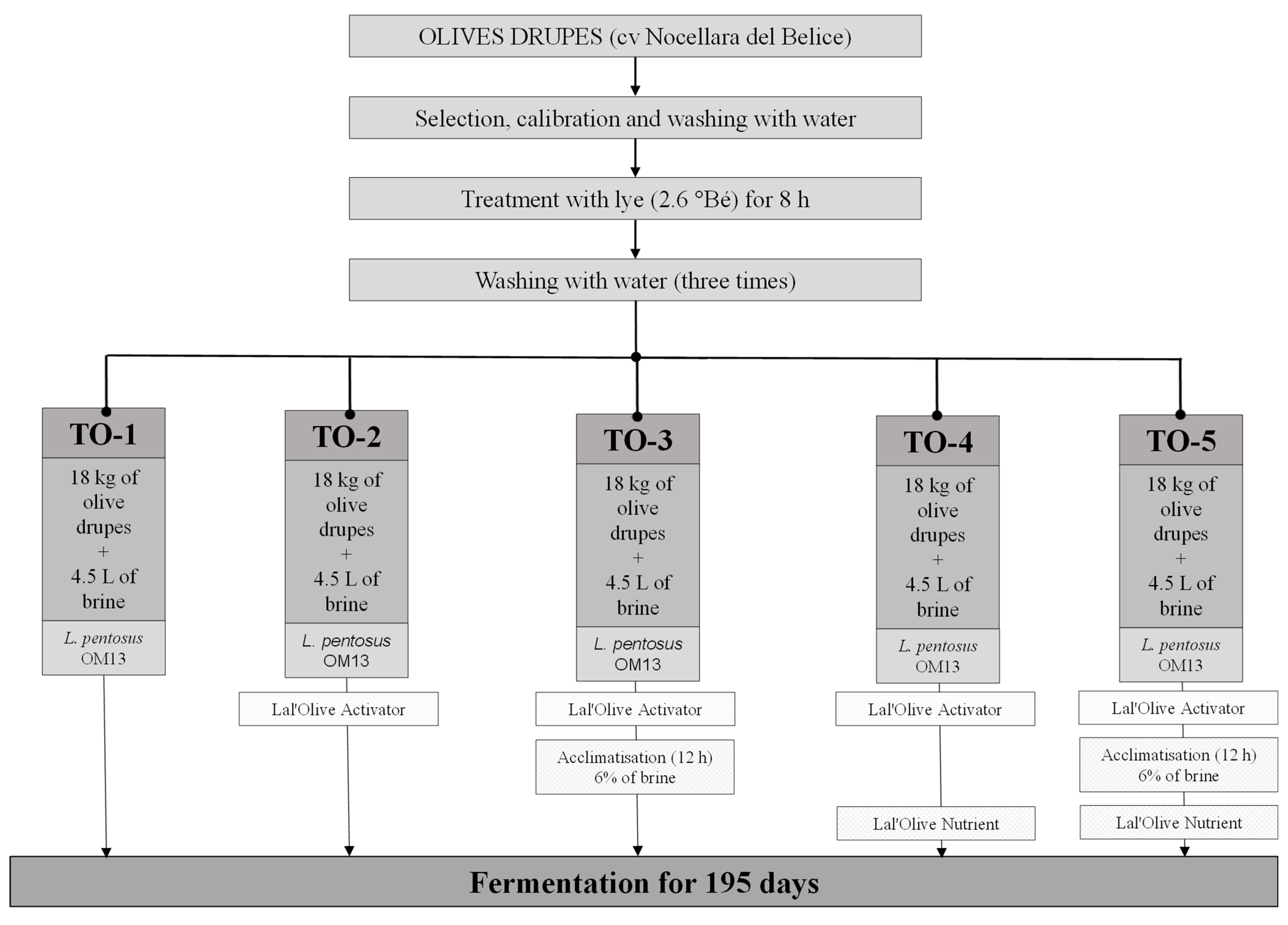 Fermentation 09 00634 g001