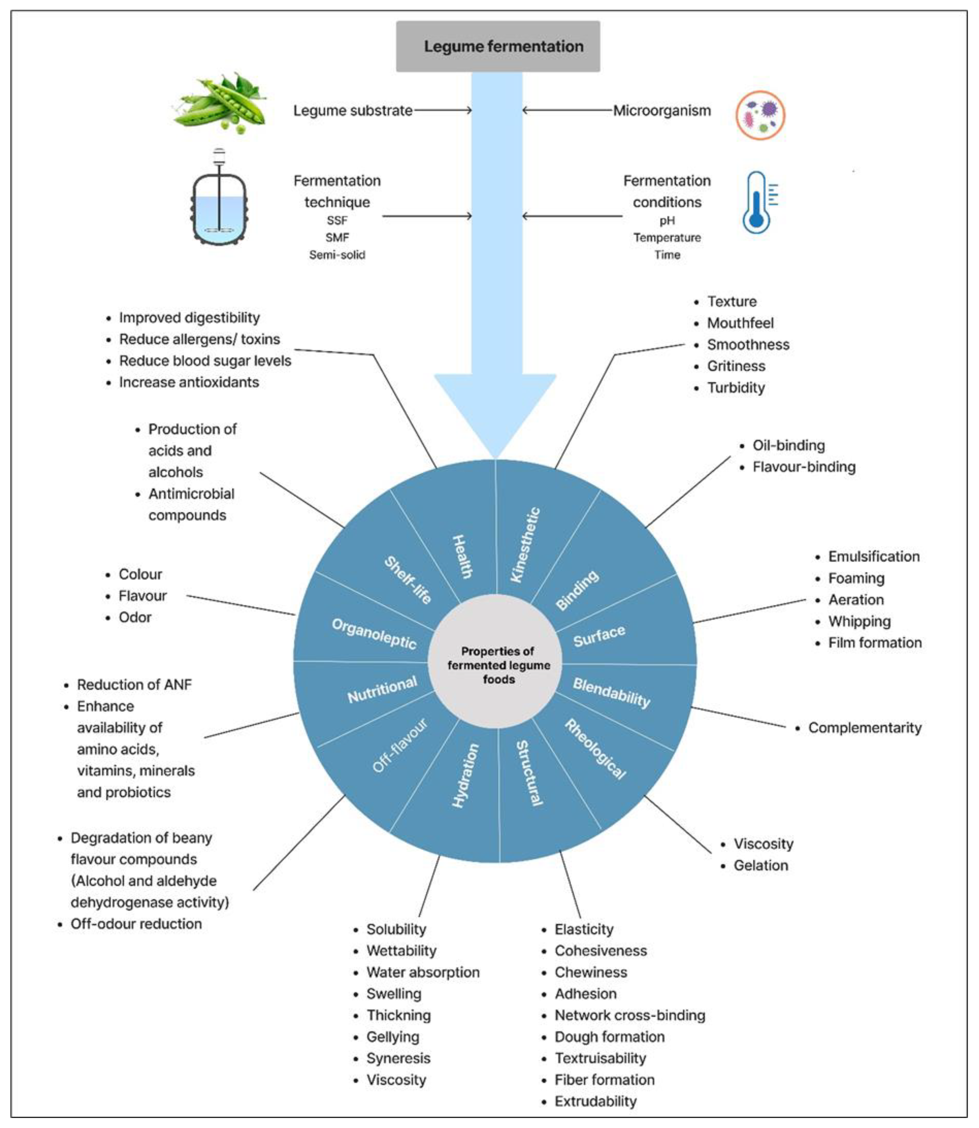 Fermentation 09 00635 g001