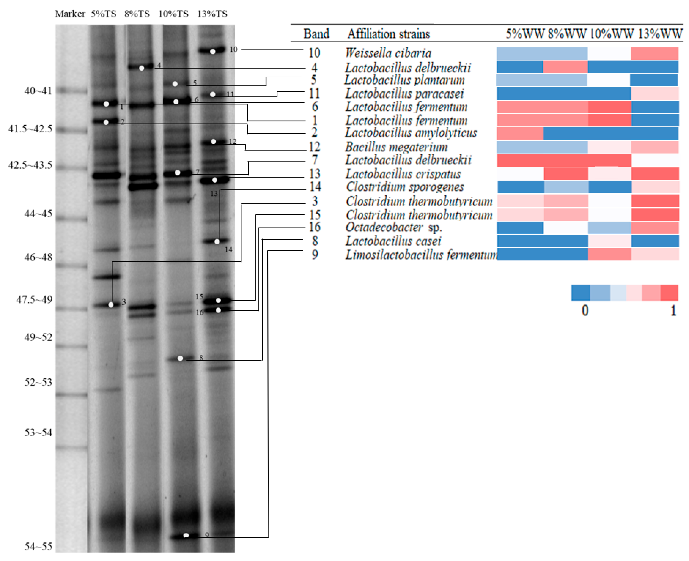 Fermentation 09 00636 g003 Fermentation 09 00636 g003