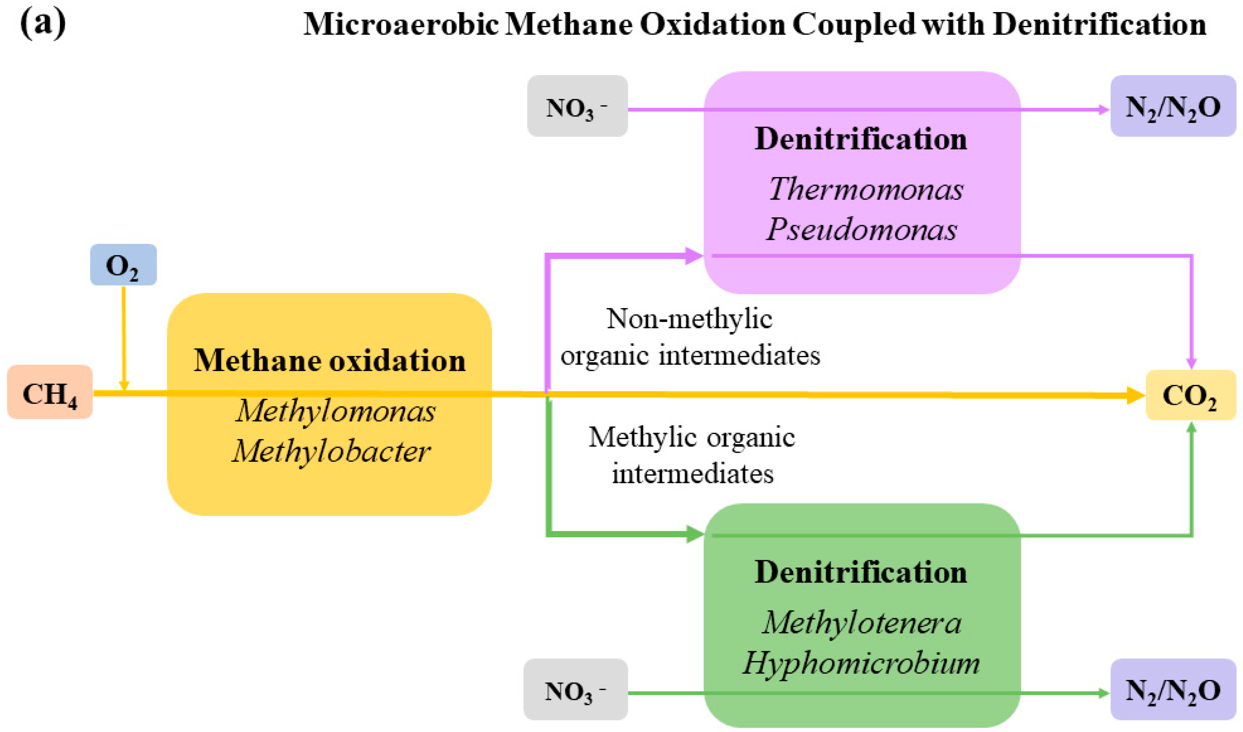 Fermentation 09 00645 g004a