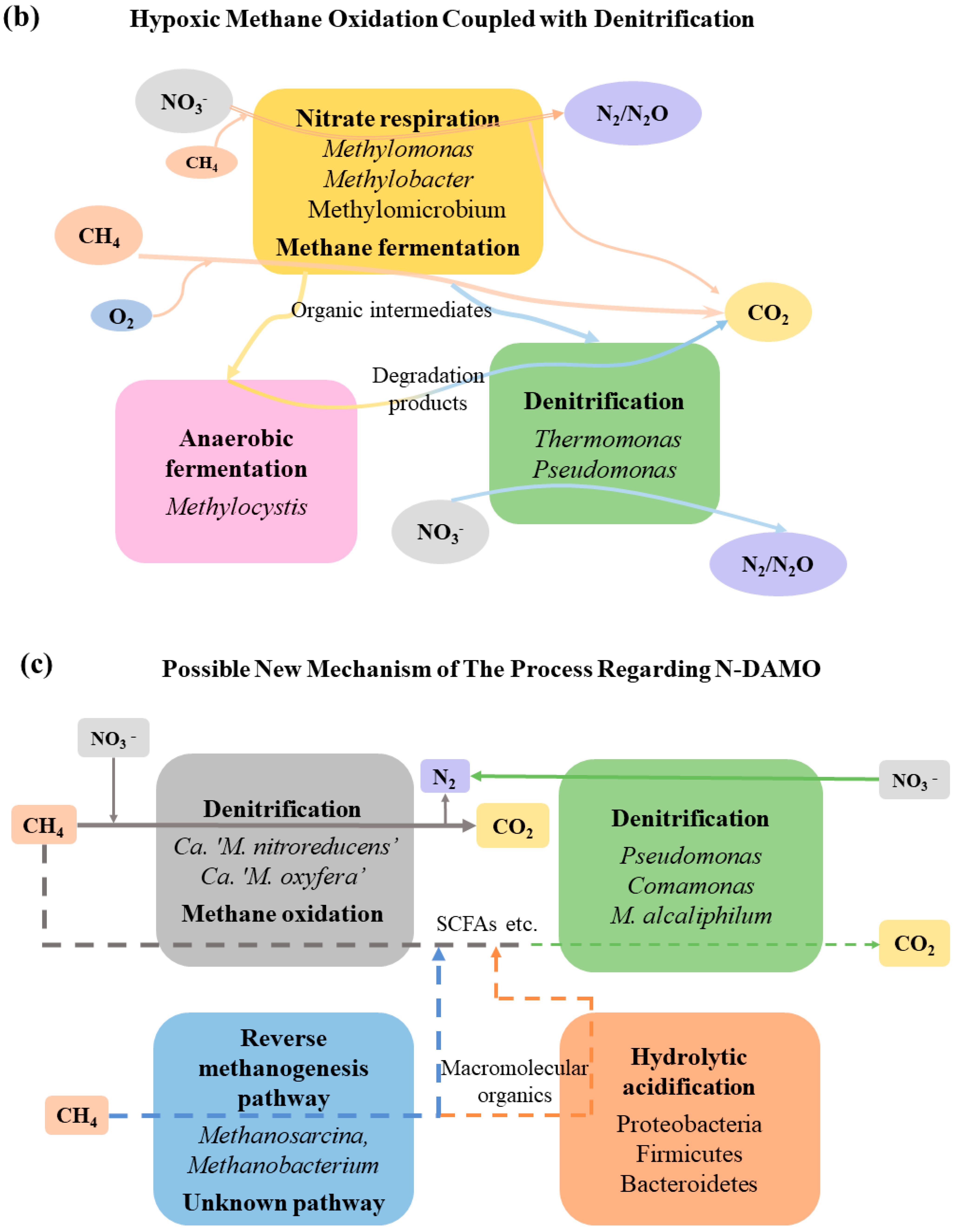 Fermentation 09 00645 g004b