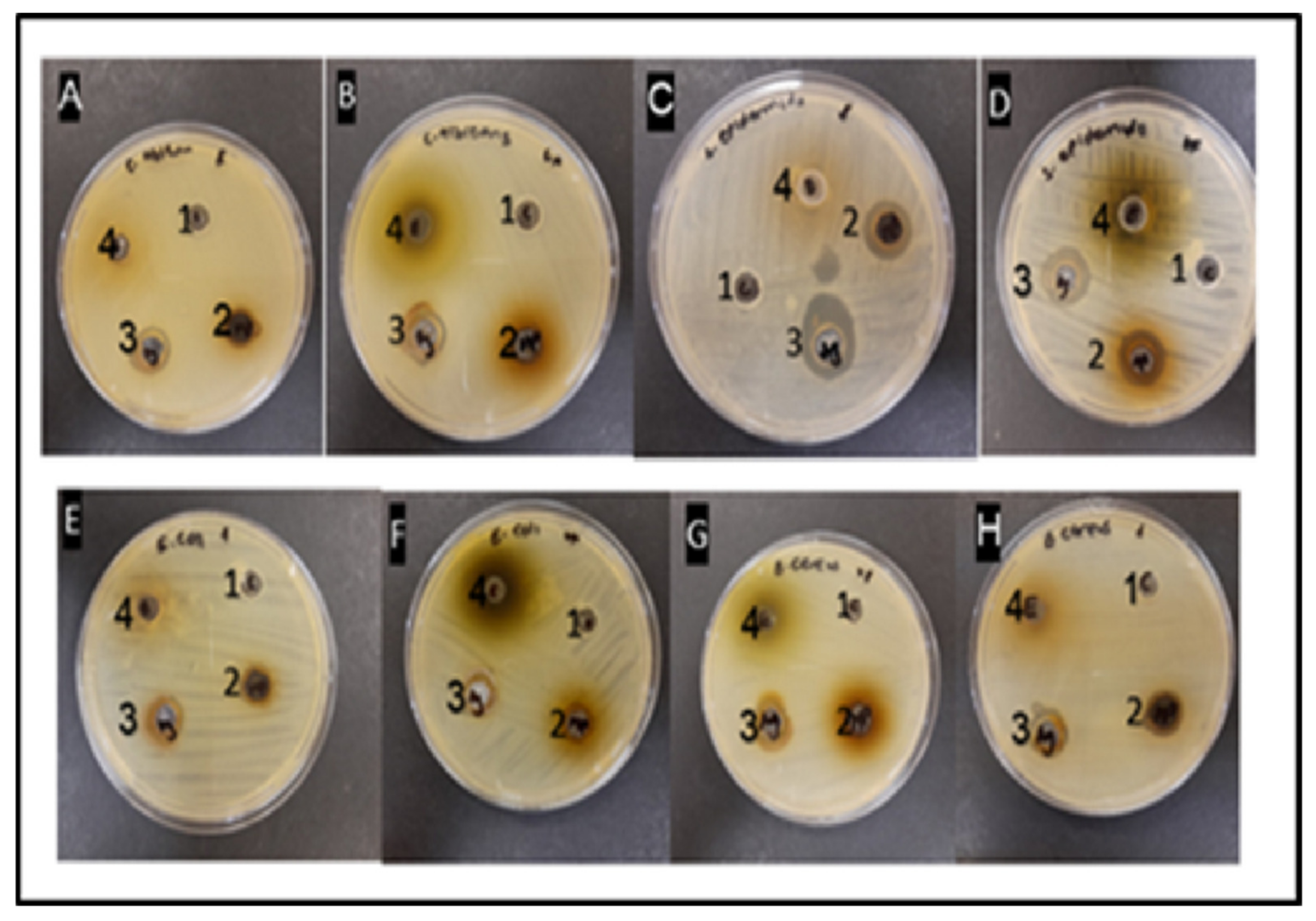 Fermentation 09 00648 g006 Fermentation 09 00648 g006