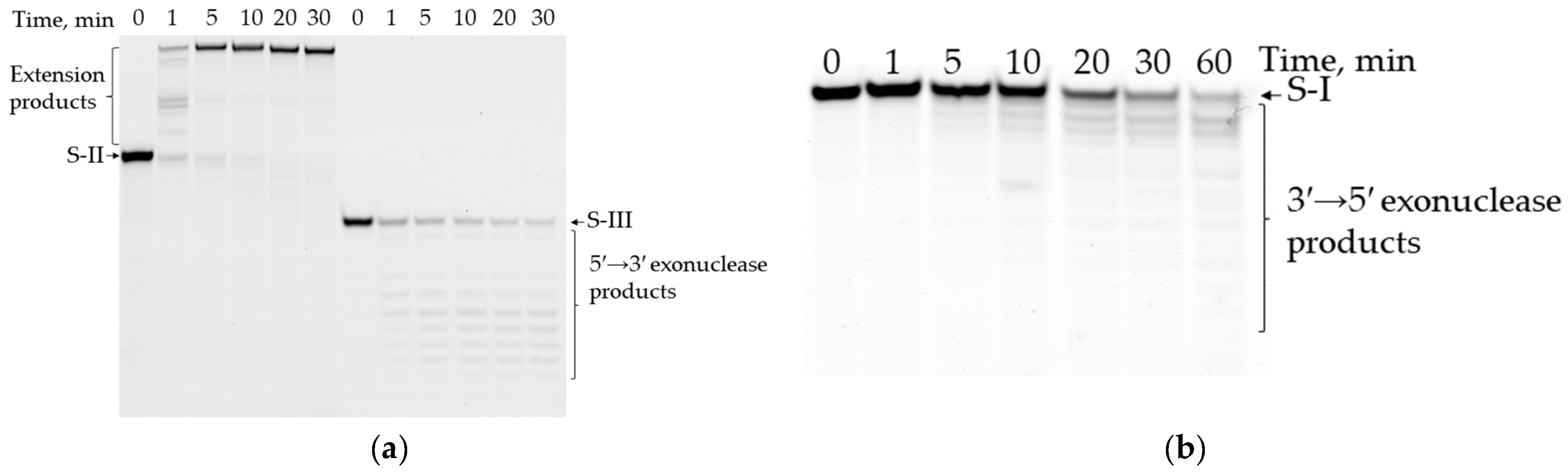 Fermentation 09 00650 g005 Fermentation 09 00650 g005